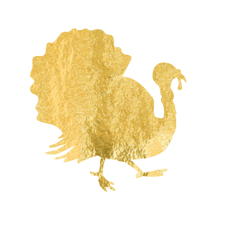 Thanksgiving-preview.gif