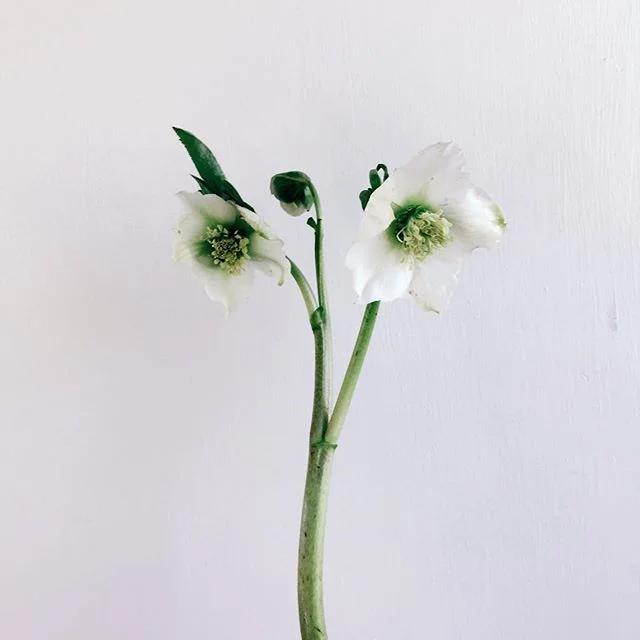 Saturday Morning Breakfast