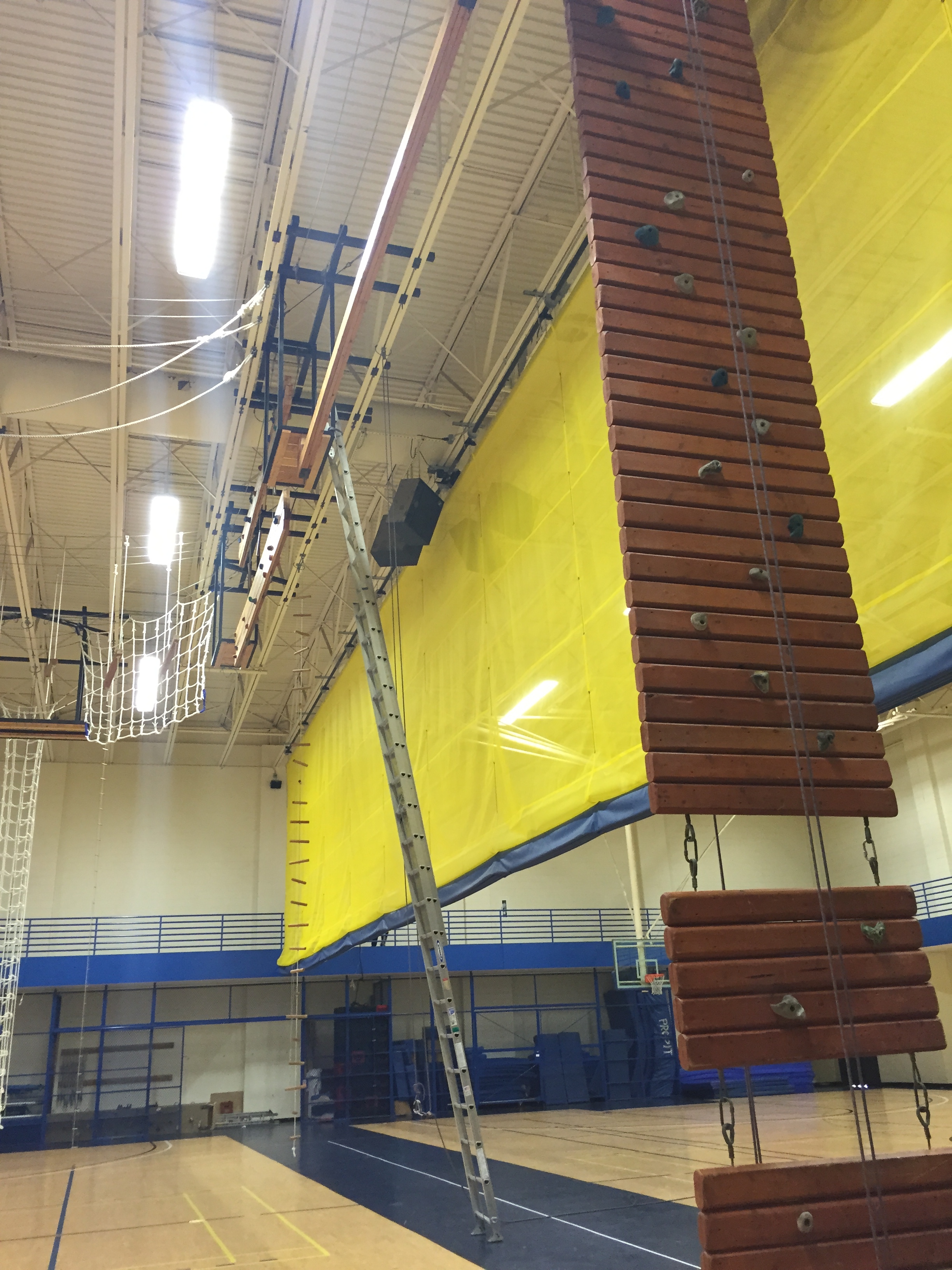 This weekend's high ropes course - definitely the tallest ladder I've ever climbed!