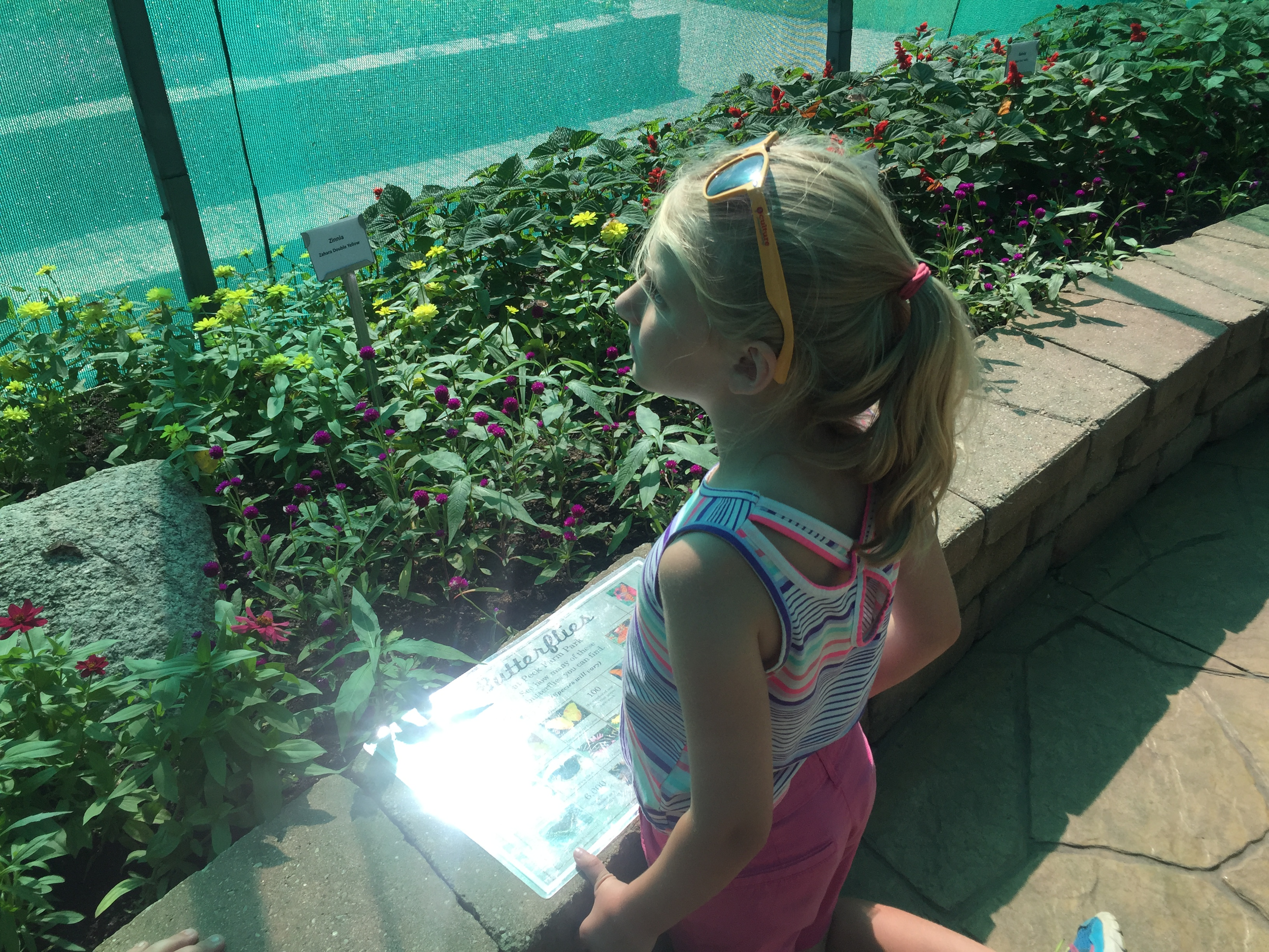 My niece using the guide to identify butterflies in the Butterfly House at Geneva Park District's Peck Farm Park.