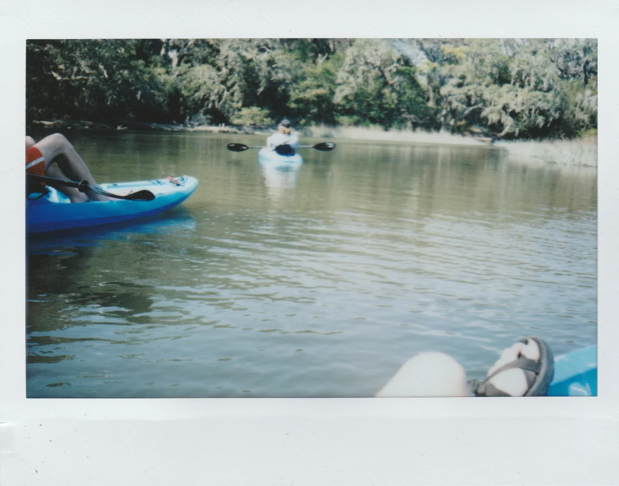 marsh 9.jpg