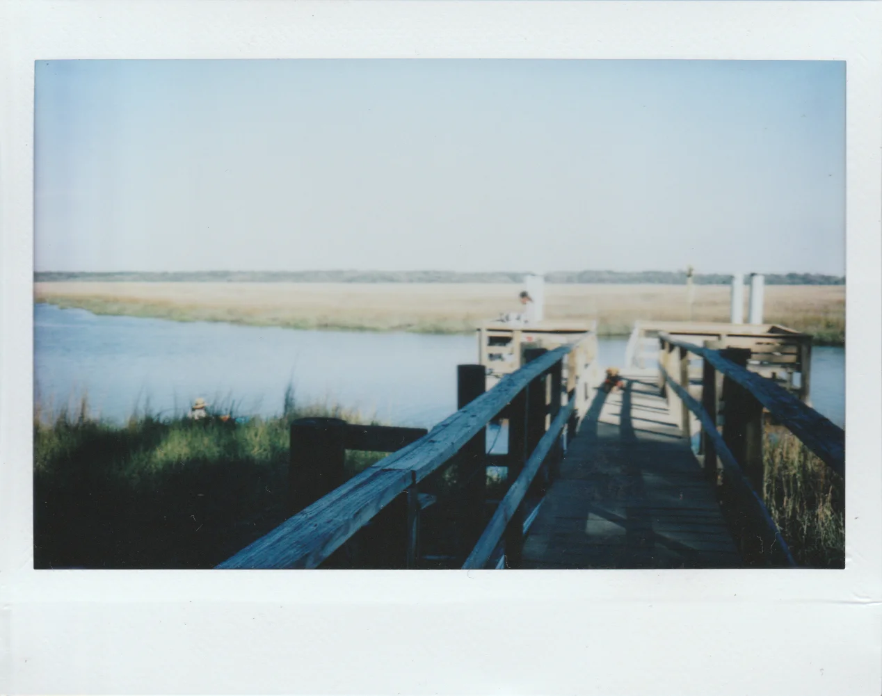 marsh 14.jpg