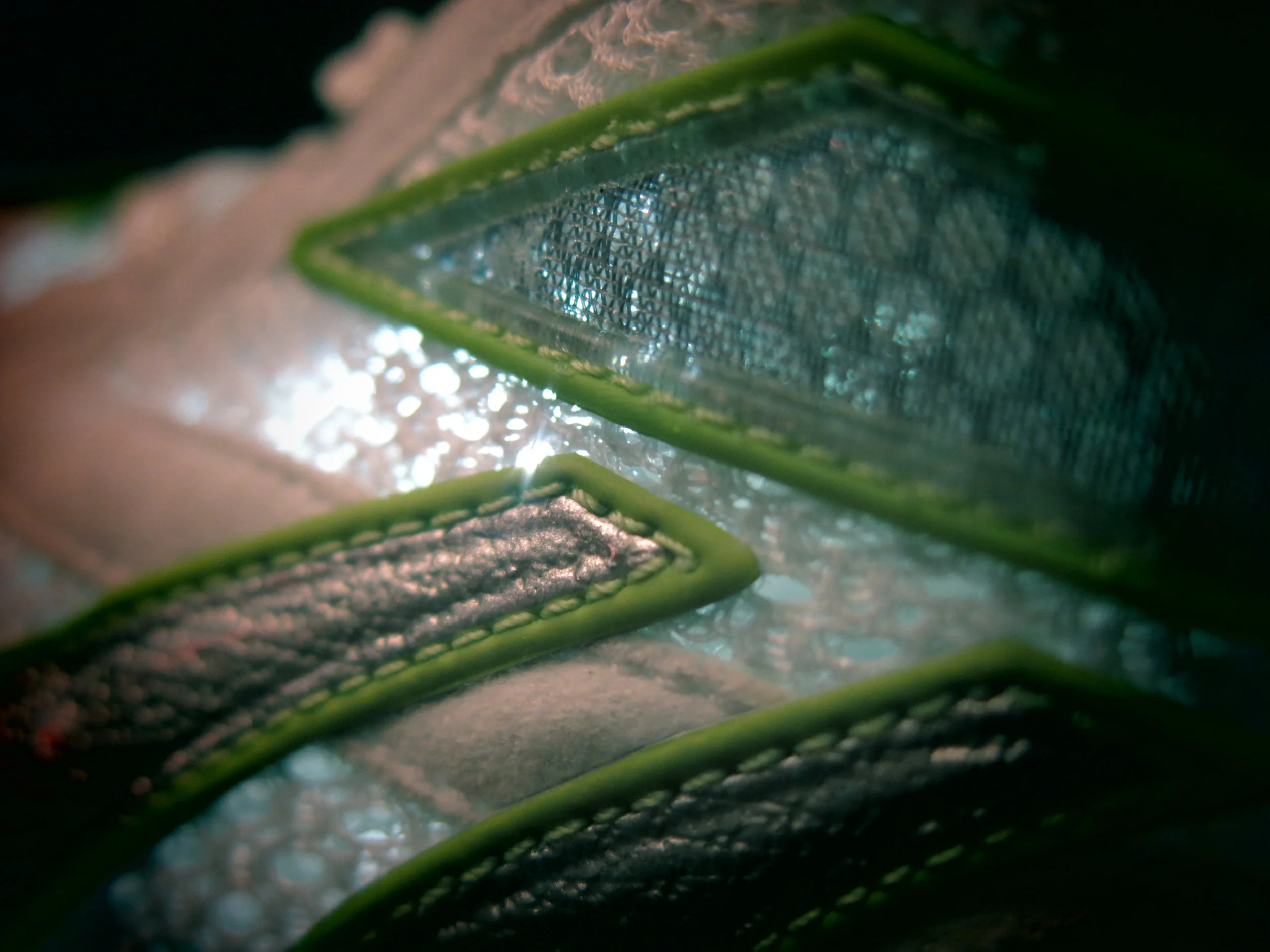 Taikan sample 4.jpg