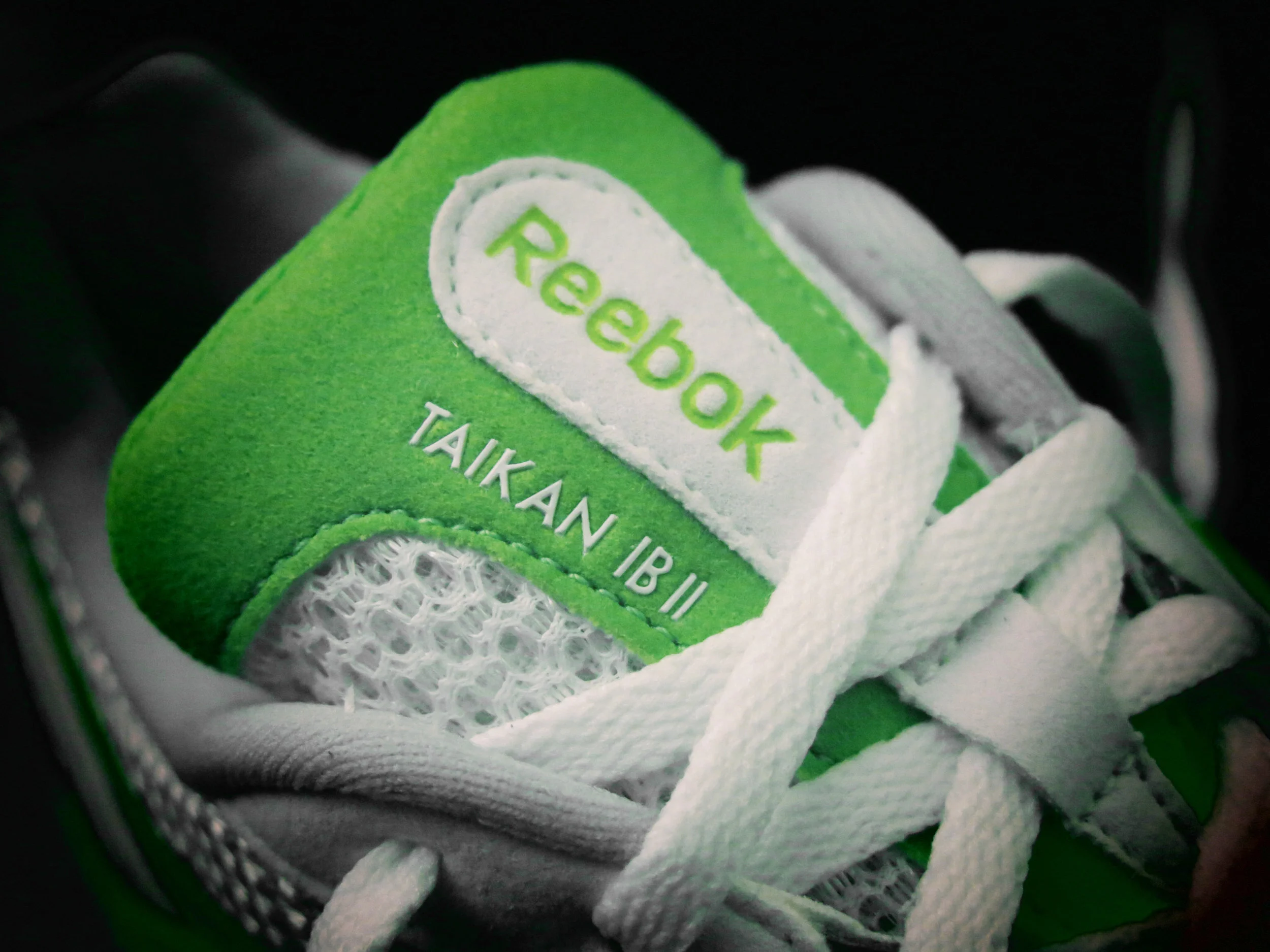 Taikan sample 7.jpg