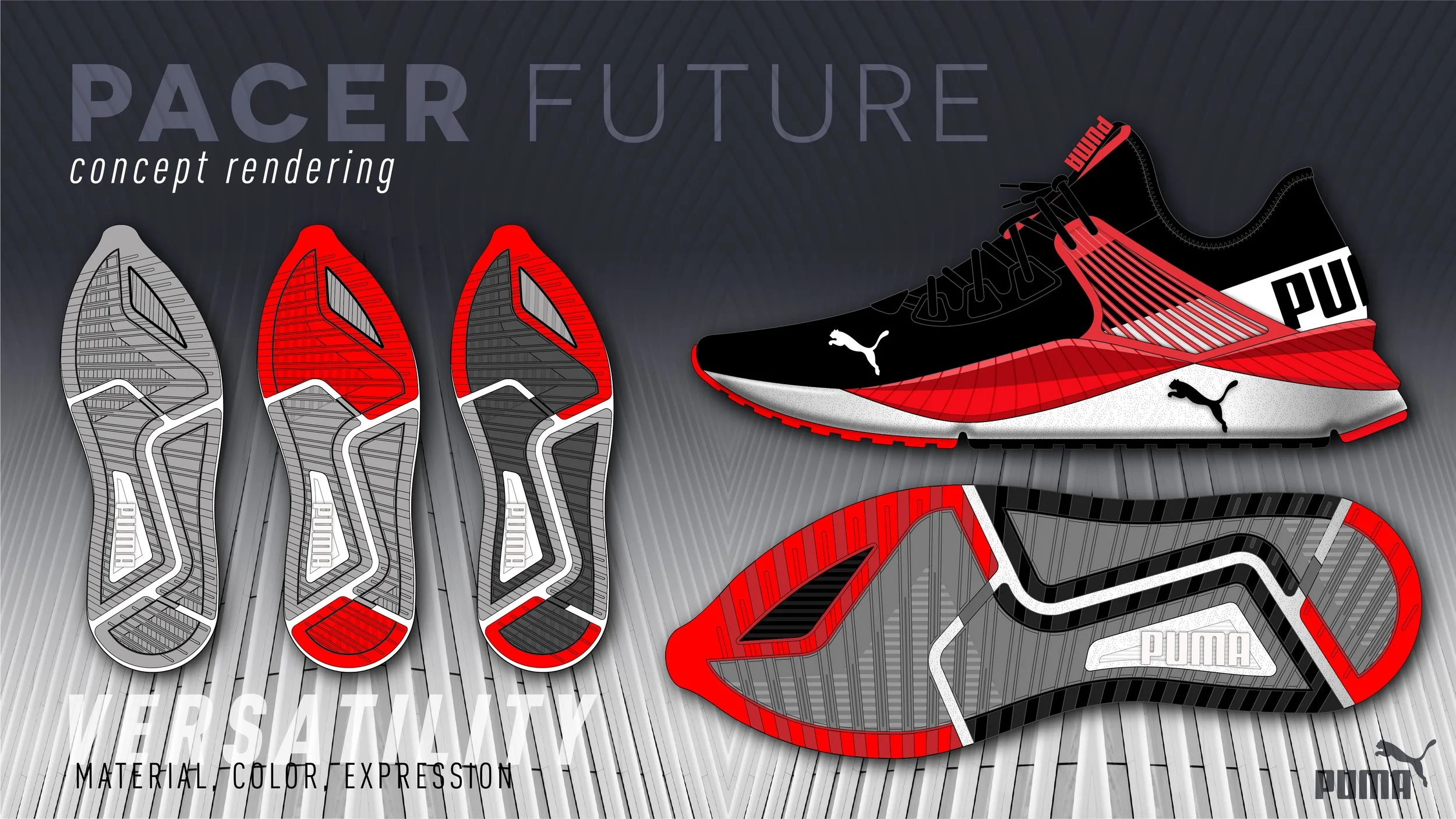 PACER Future Portolio 2-04.jpg