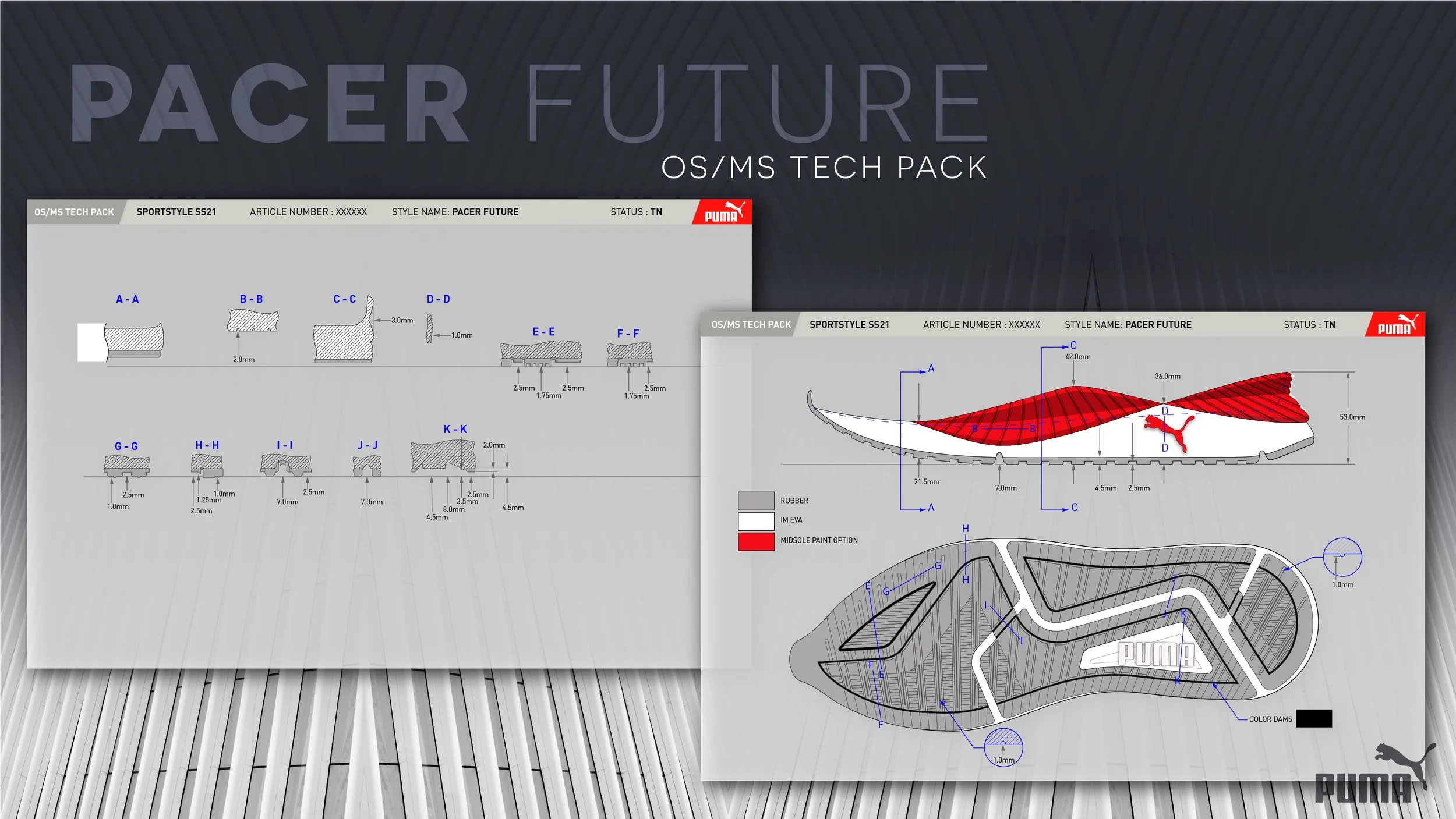 PACER Future Portolio 2-08.jpg