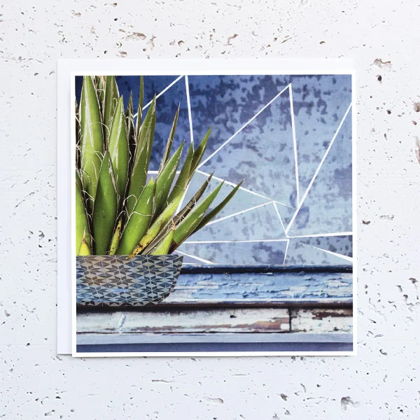 more the merrlier handmade collage art - that plant life cactus on a shelf greeting card
