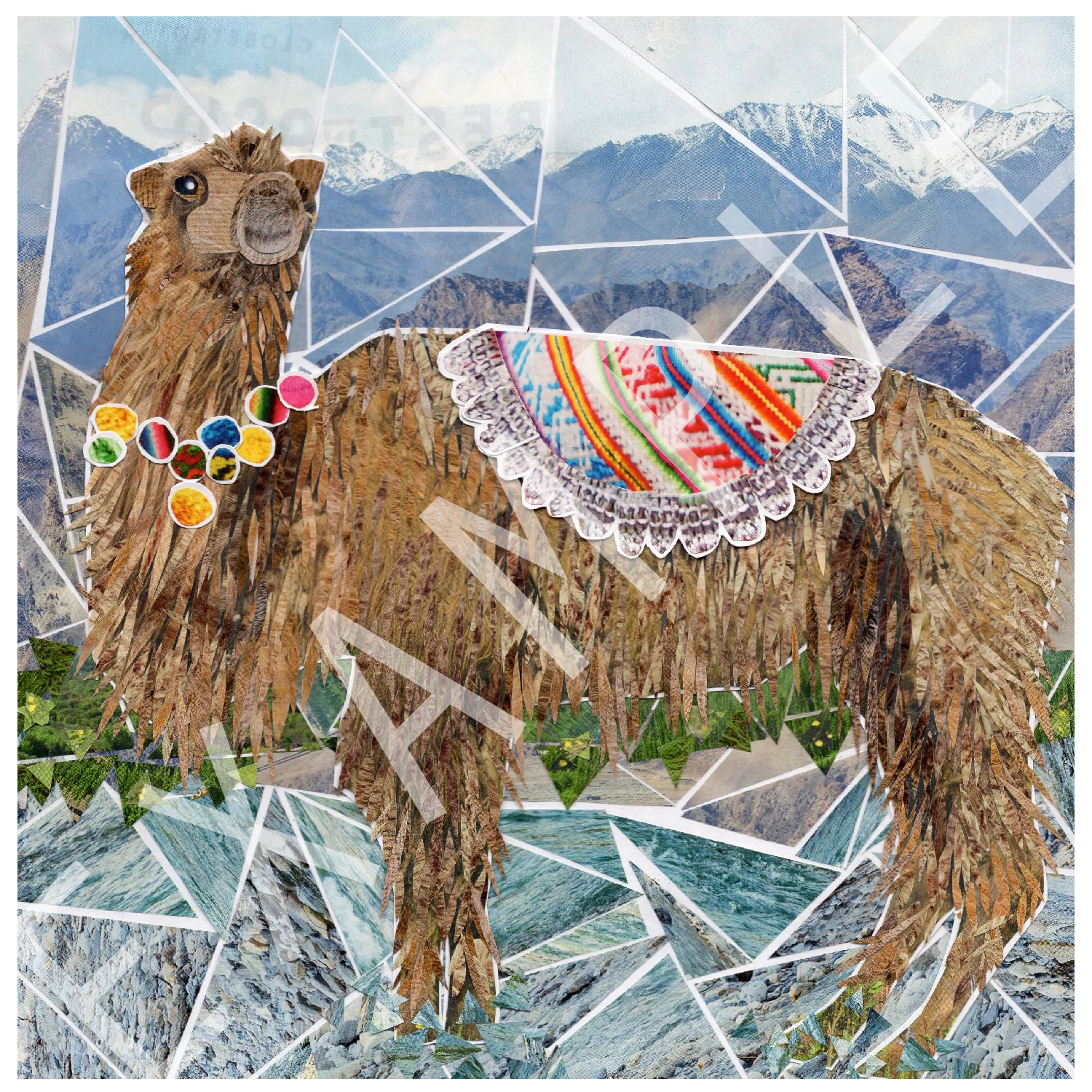 Alpaca_custom_front.jpg