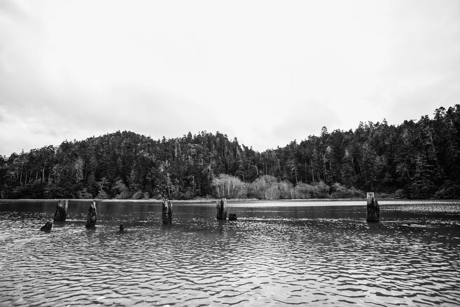 _20A1821-Edit.jpg
