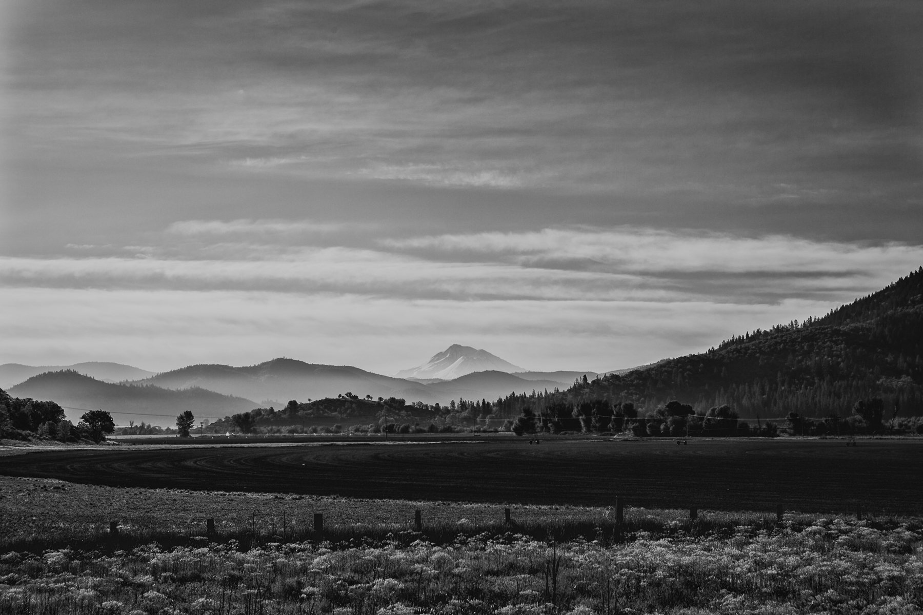 Farms and Mount Shasta