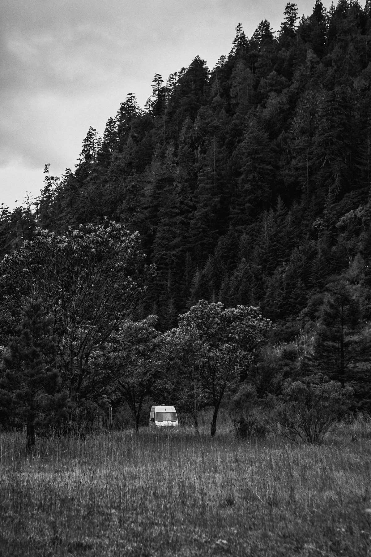 Sneaky little van