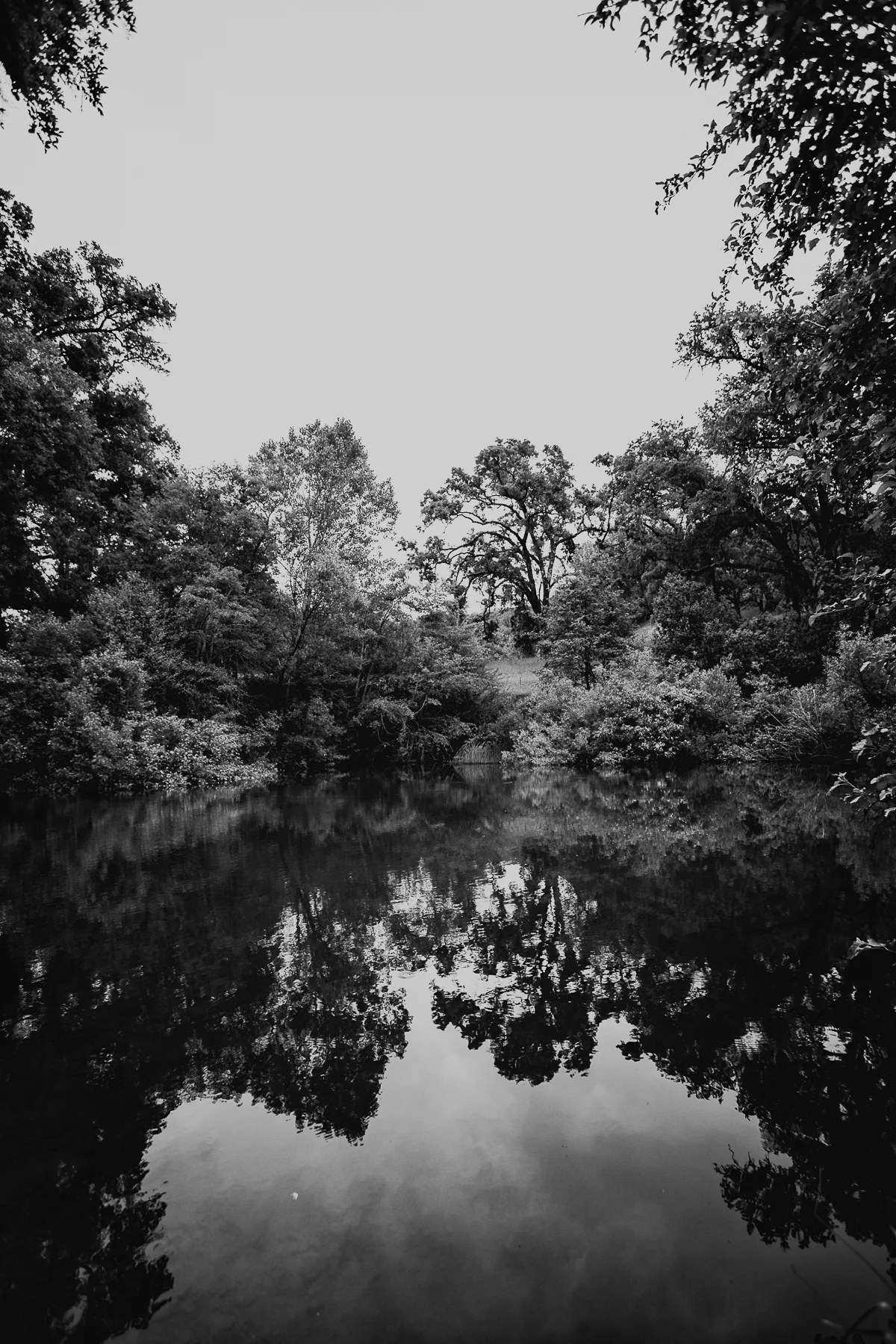 A beautiful spot in Potter Valley, 40 yards away from the sound of traffic.