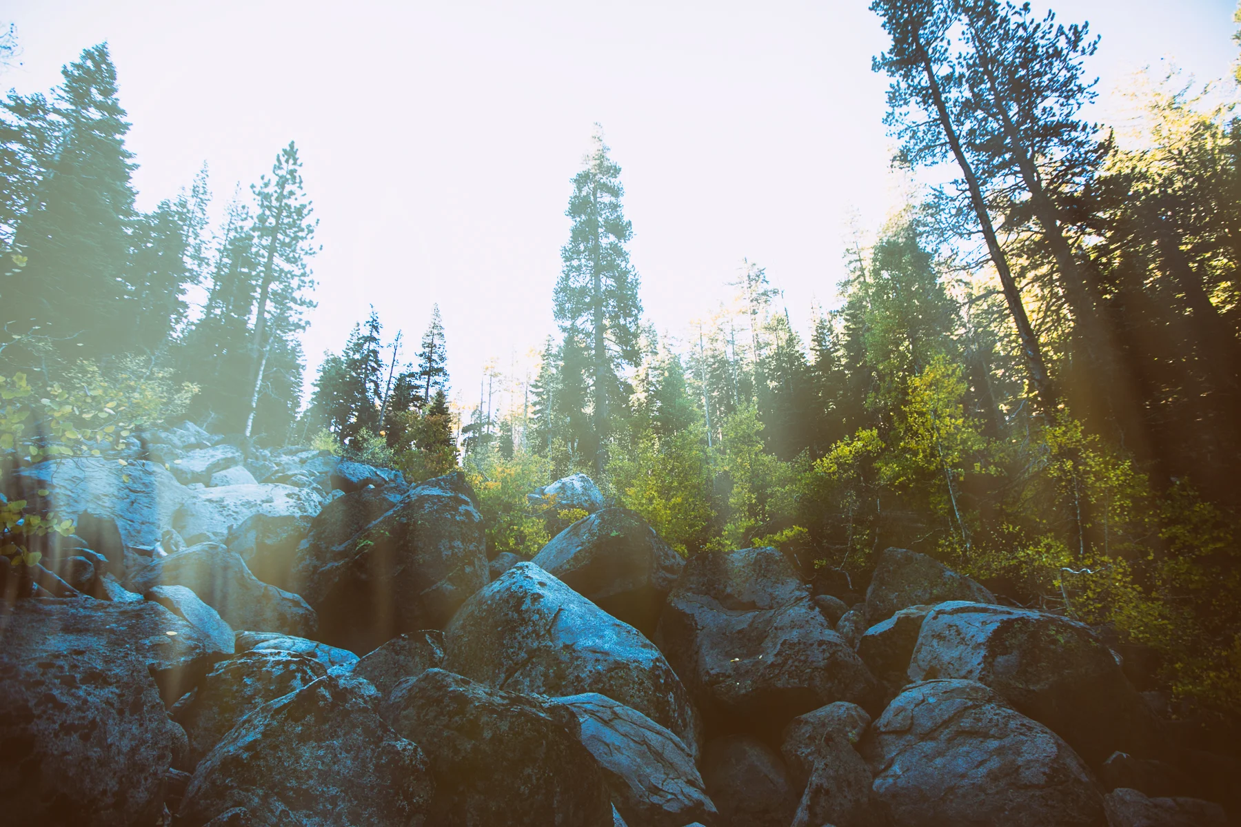 _20A6044-Edit.jpg