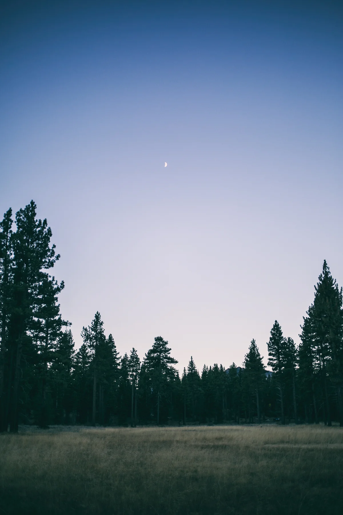 _20A6649-Edit.jpg