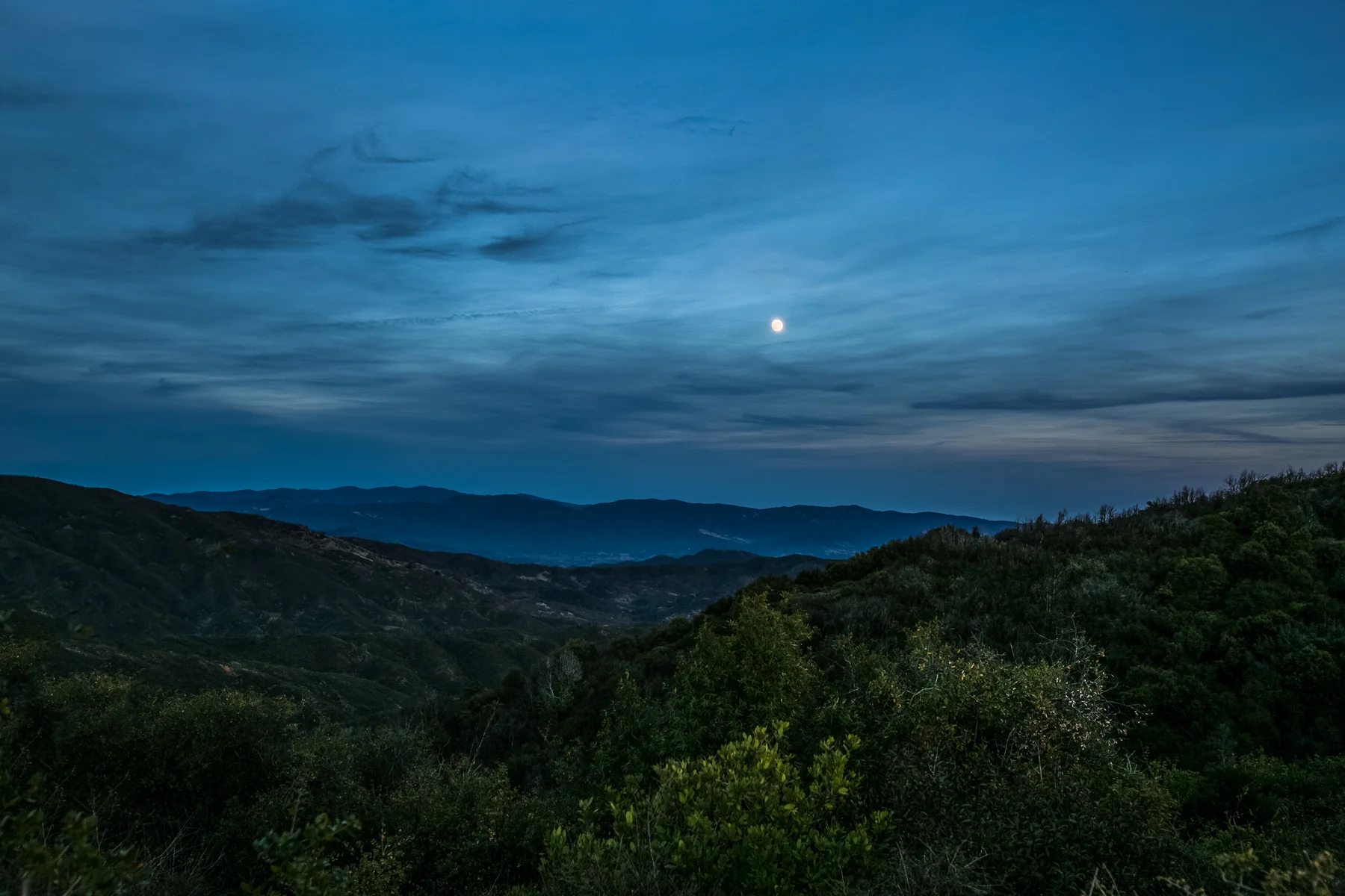 320A8860-Edit.jpg