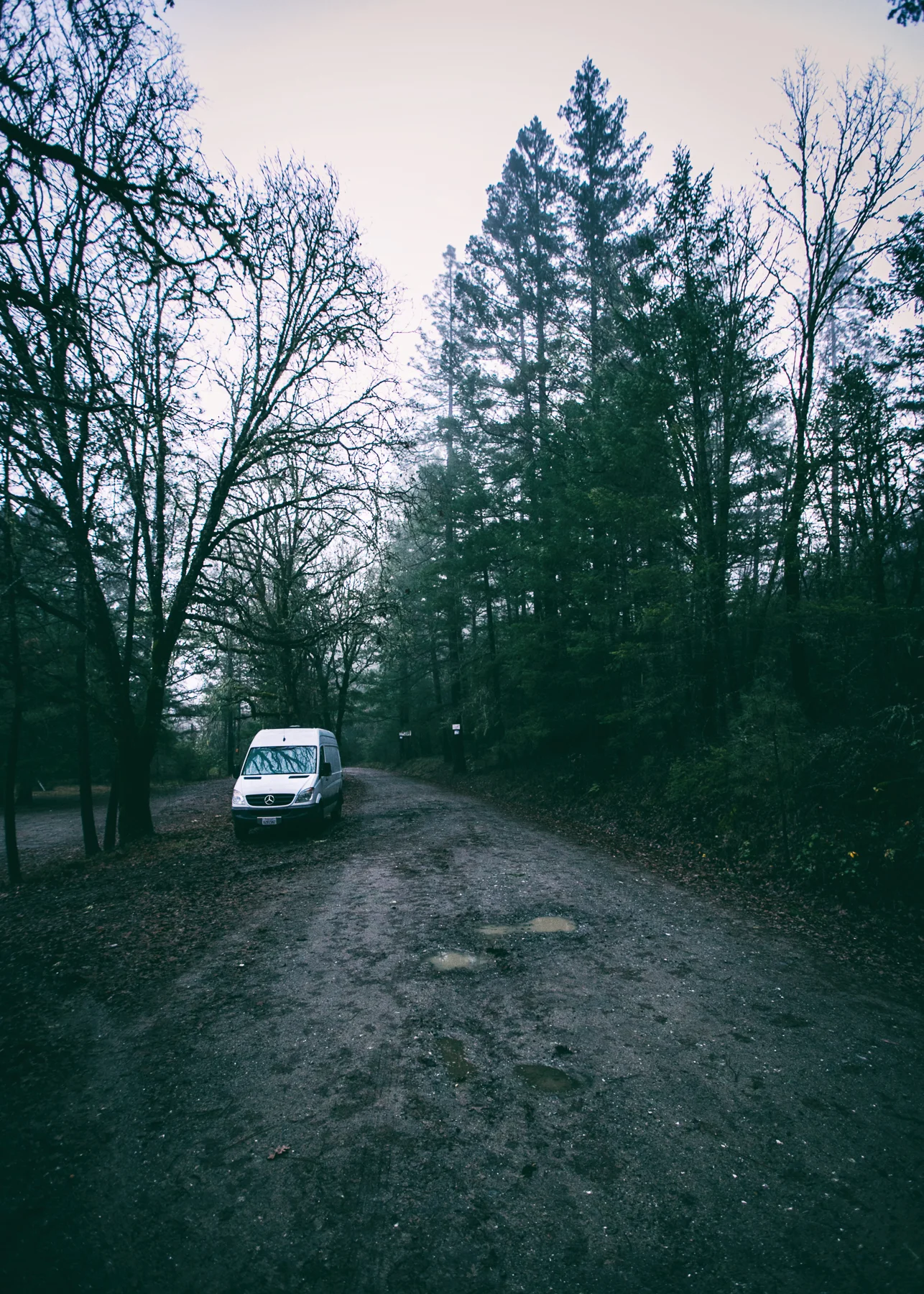 _20A8661-Edit-2.jpg