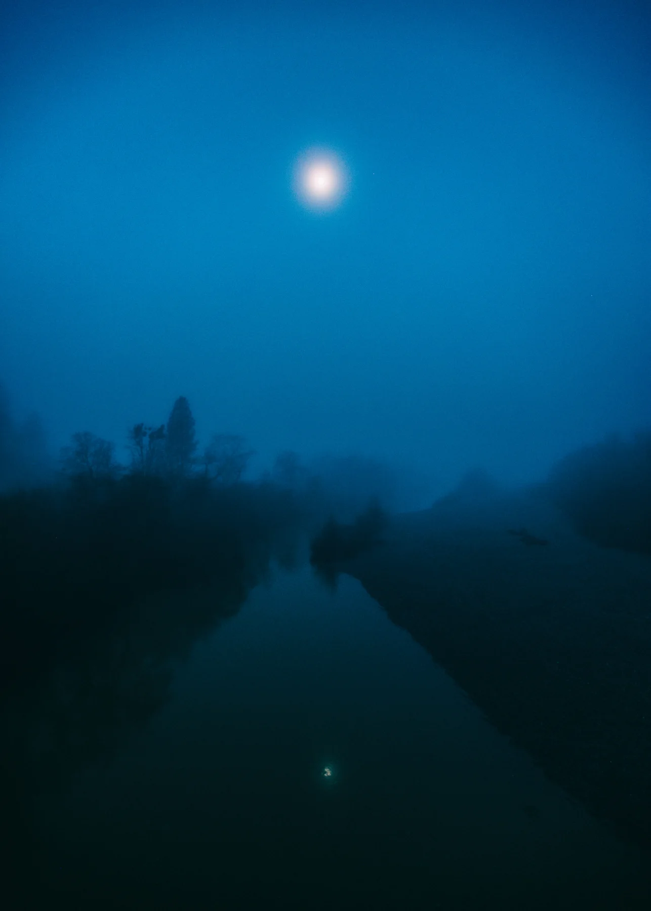 _20A8650-Edit.jpg