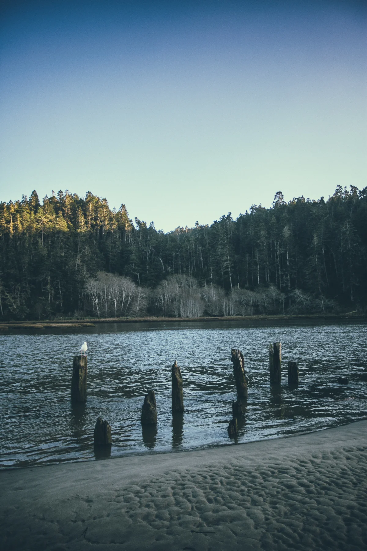 _20A8726-Edit-2.jpg