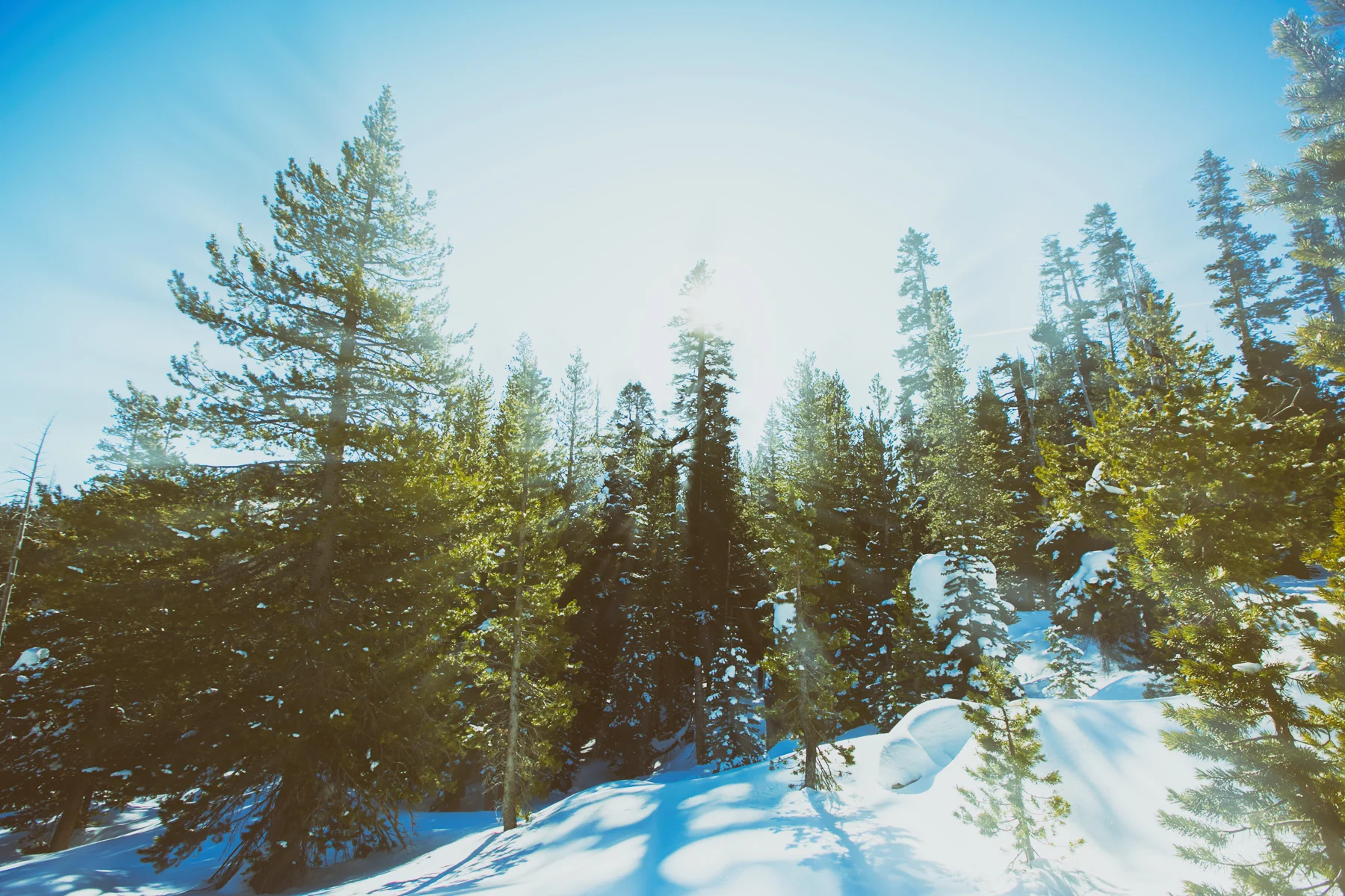 _20A9299-Edit-2.jpg