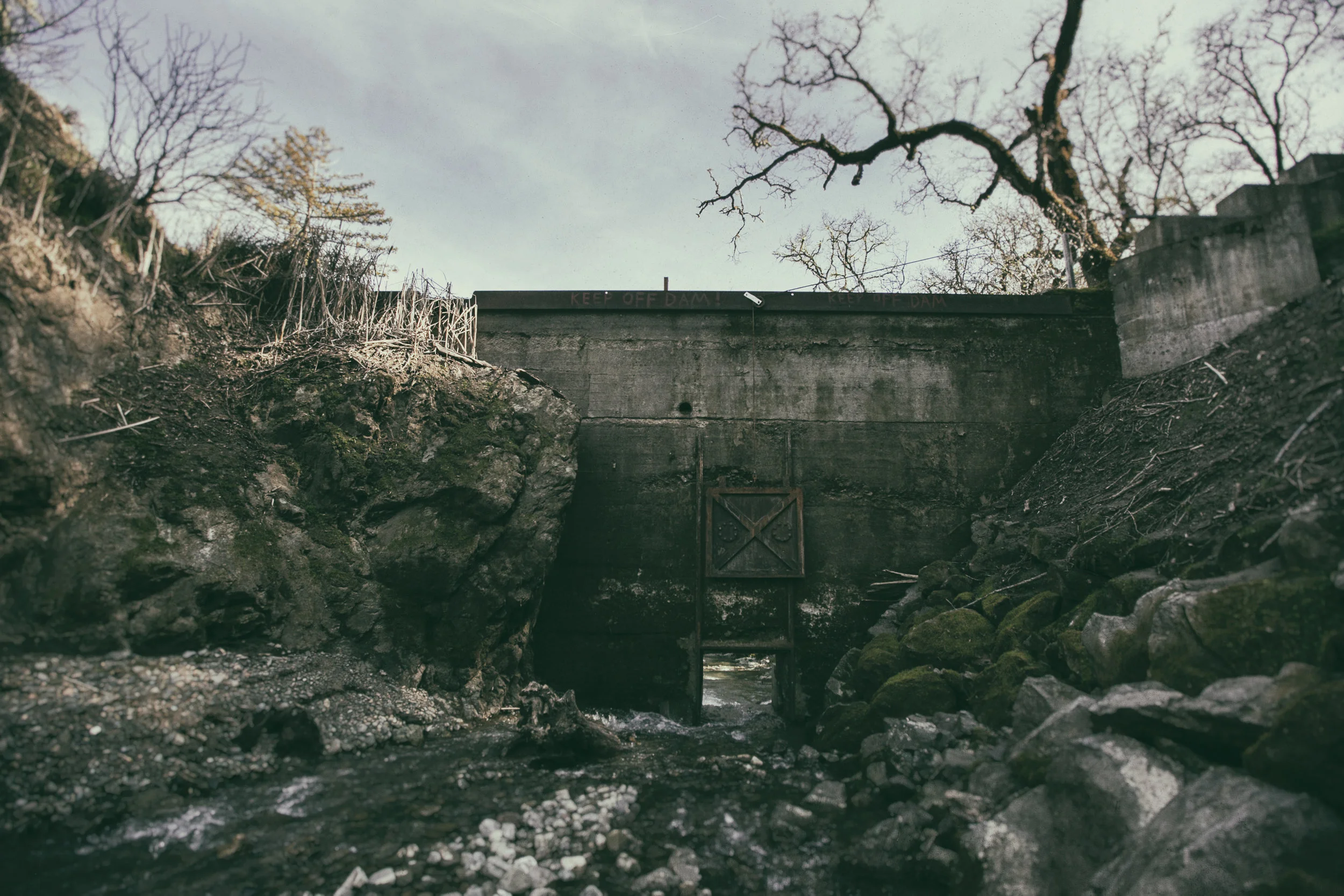 _20A8004-Edit.jpg