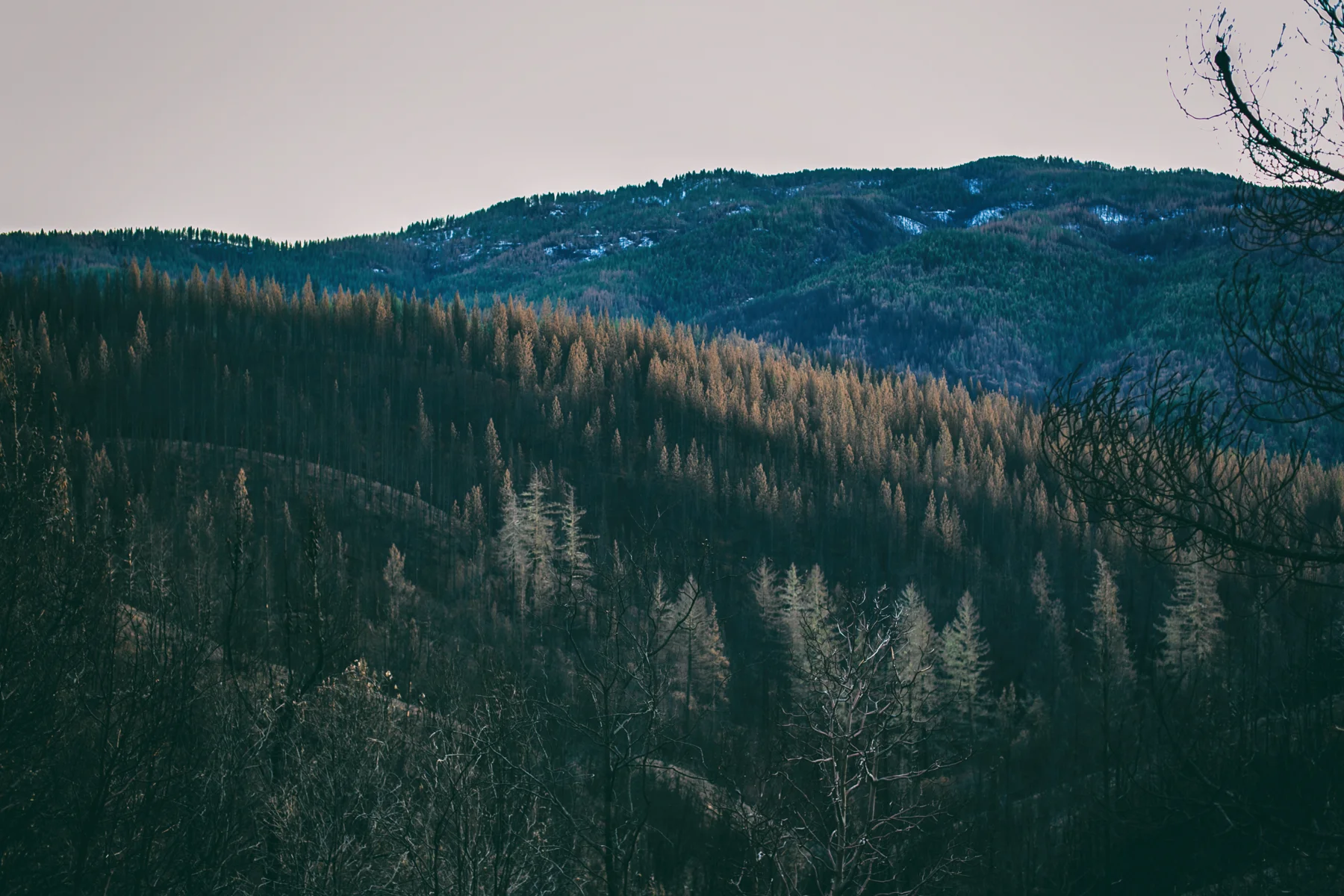 _20A9809-Edit.jpg