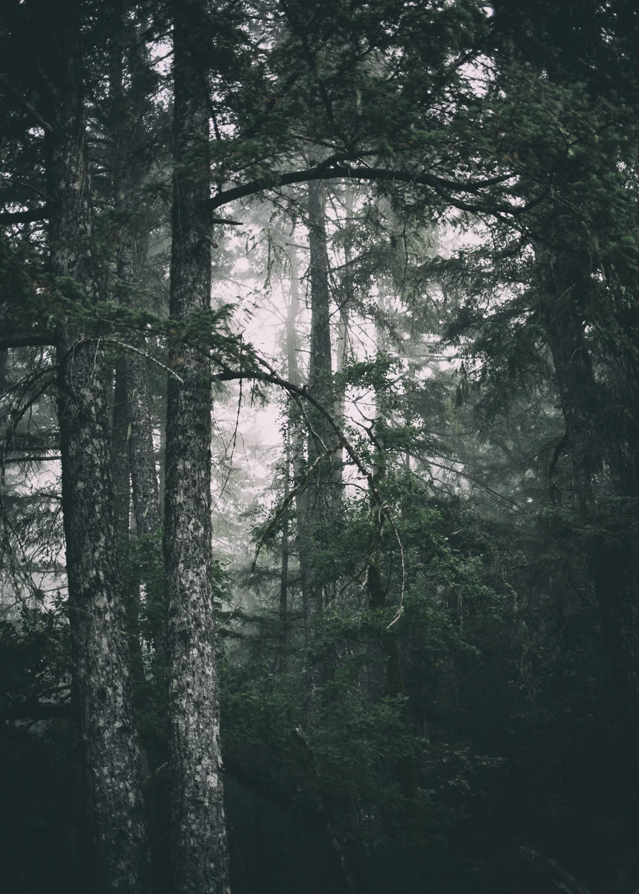 _20A7772-Edit.jpg