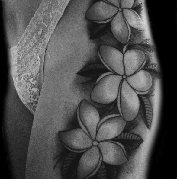 plumerias.jpg
