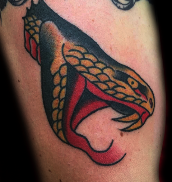 rattlesnake.png