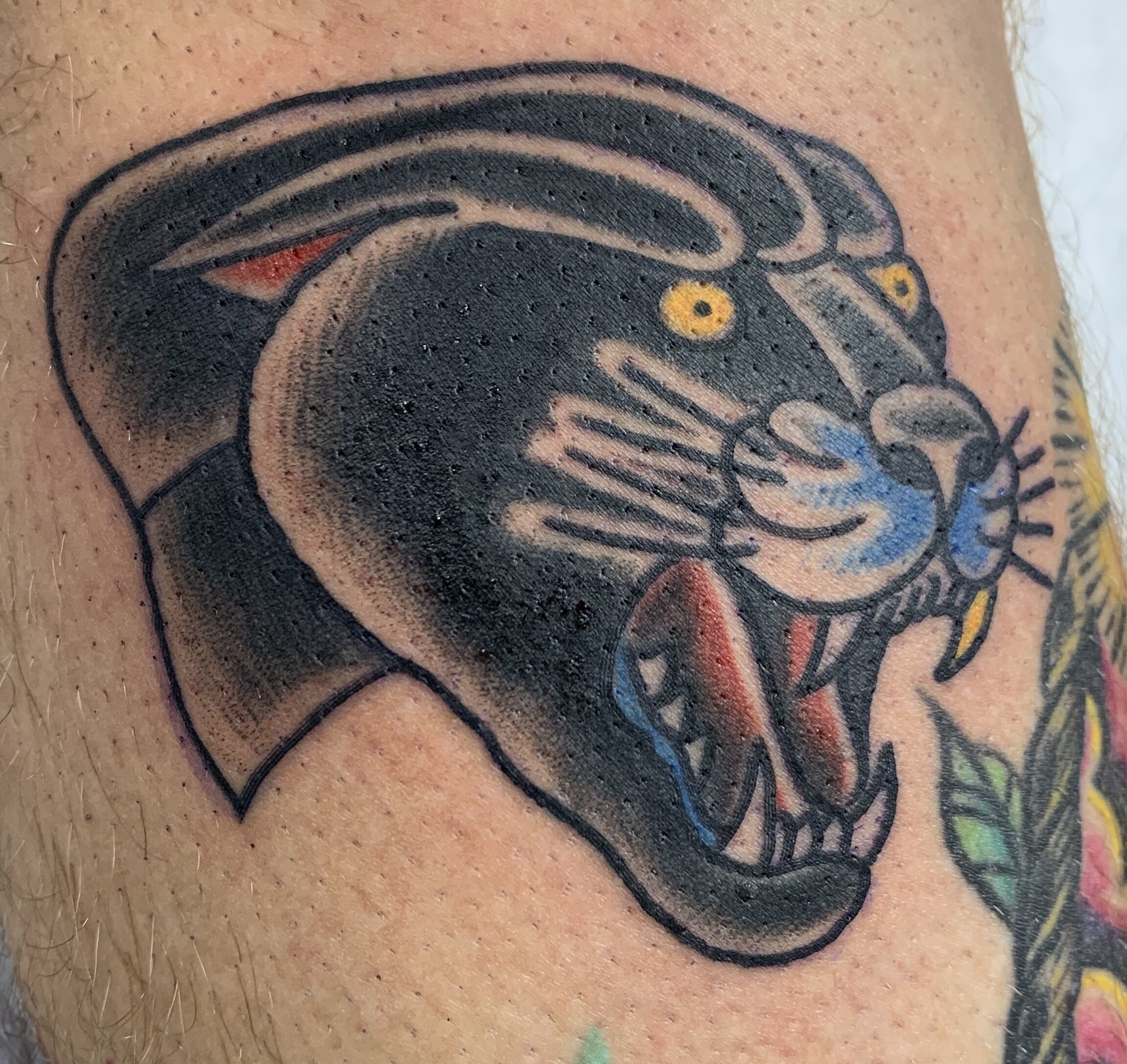 panthertim.jpg
