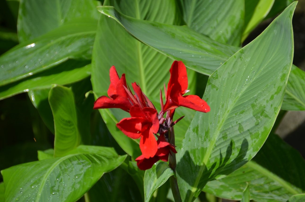 DSC_0127.jpg