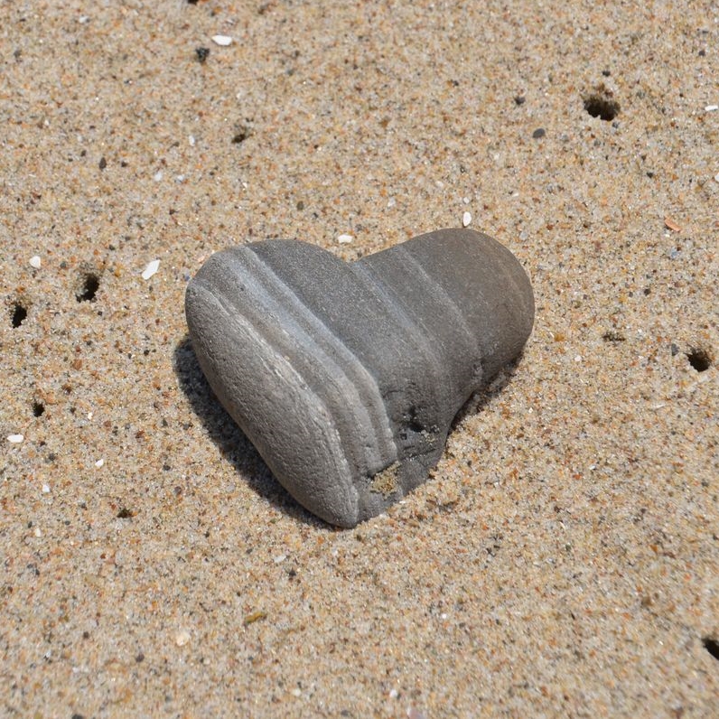 DSC_0749.jpg