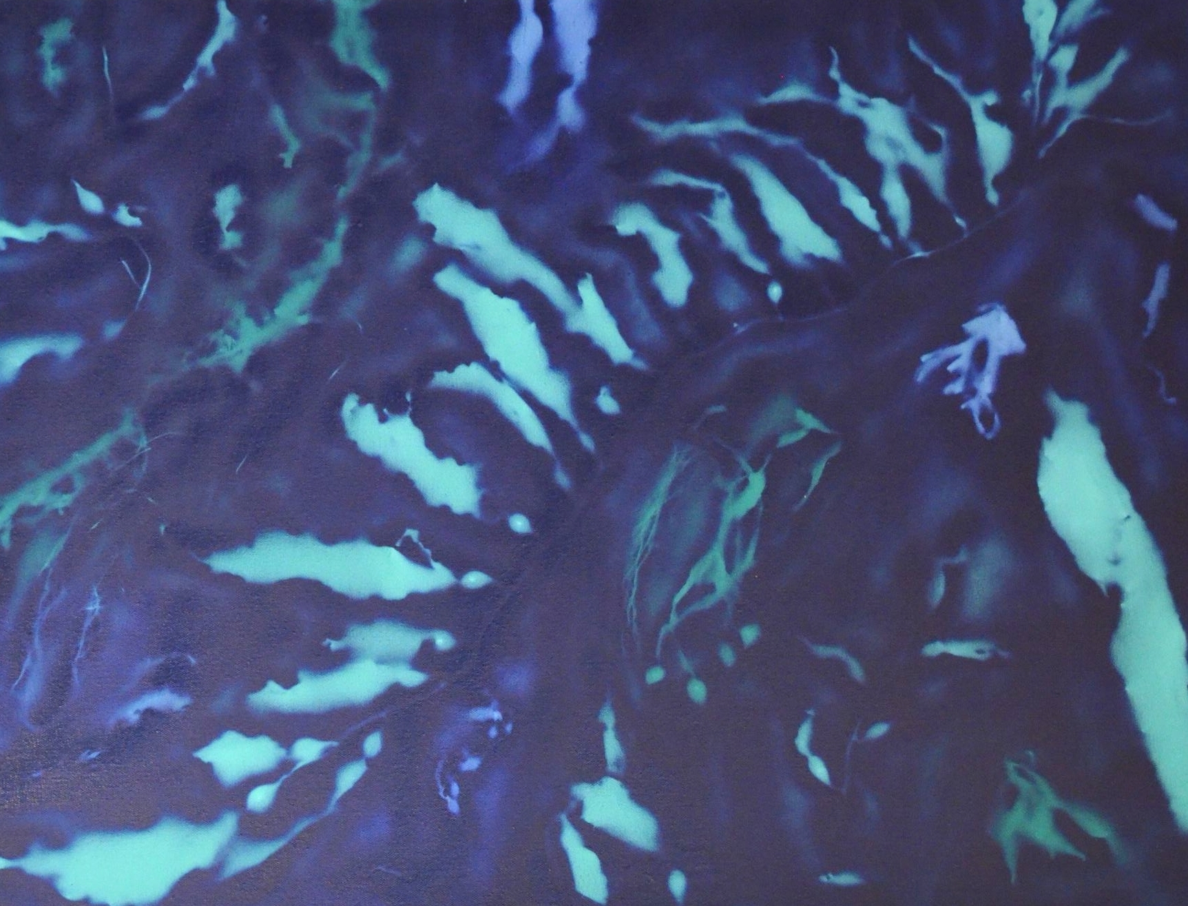 paint: blue tide