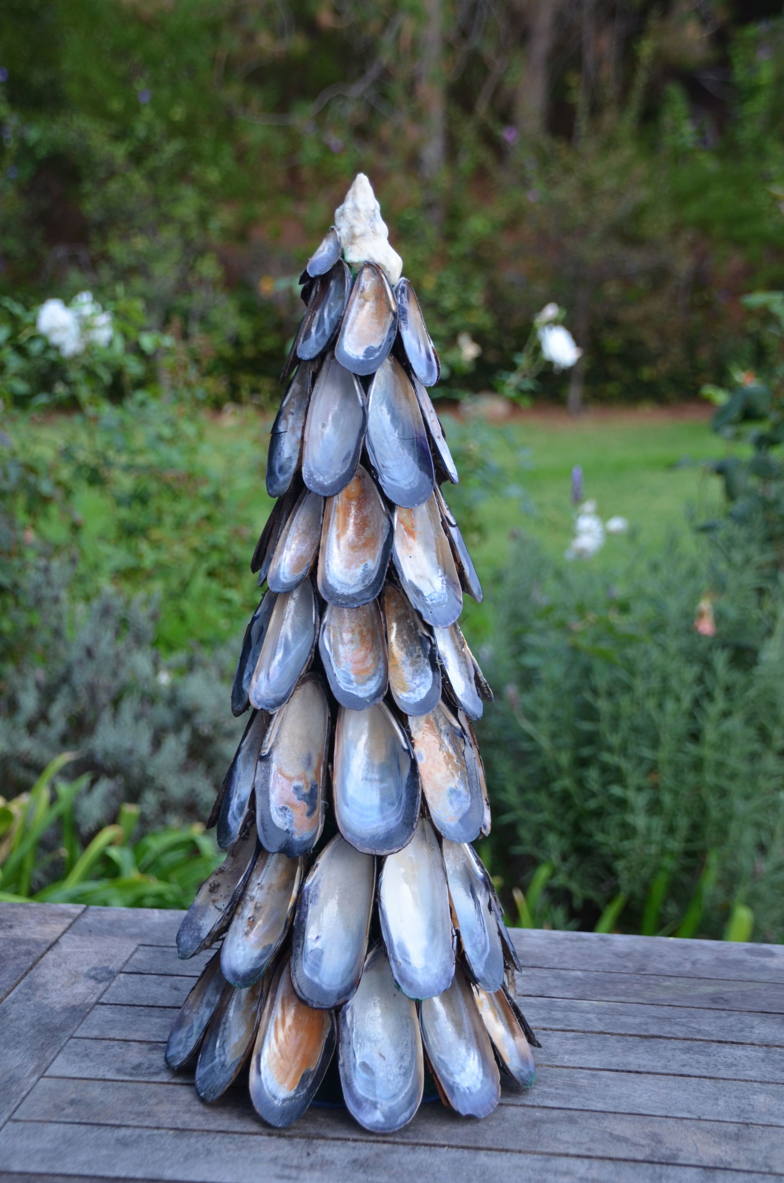 muscle shell tree