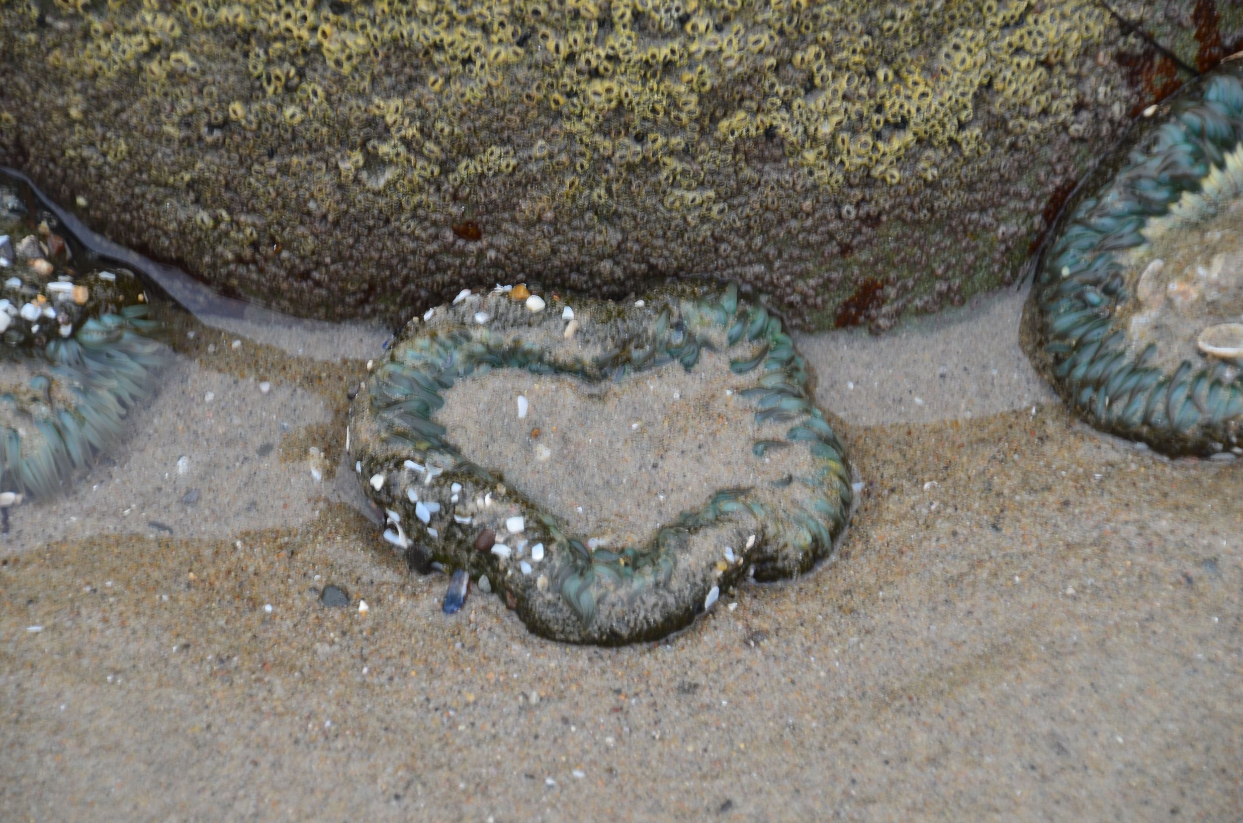 DSC_0061.jpg