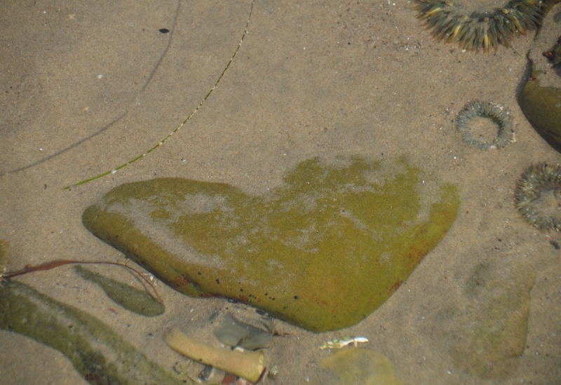 DSC_0366.jpg