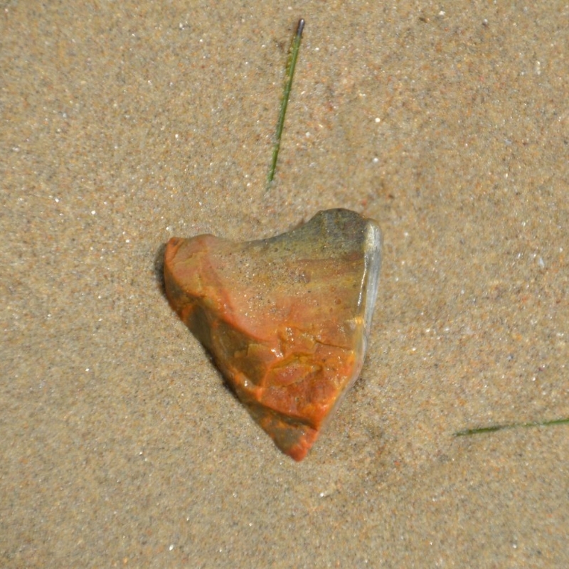 DSC_0916.jpg