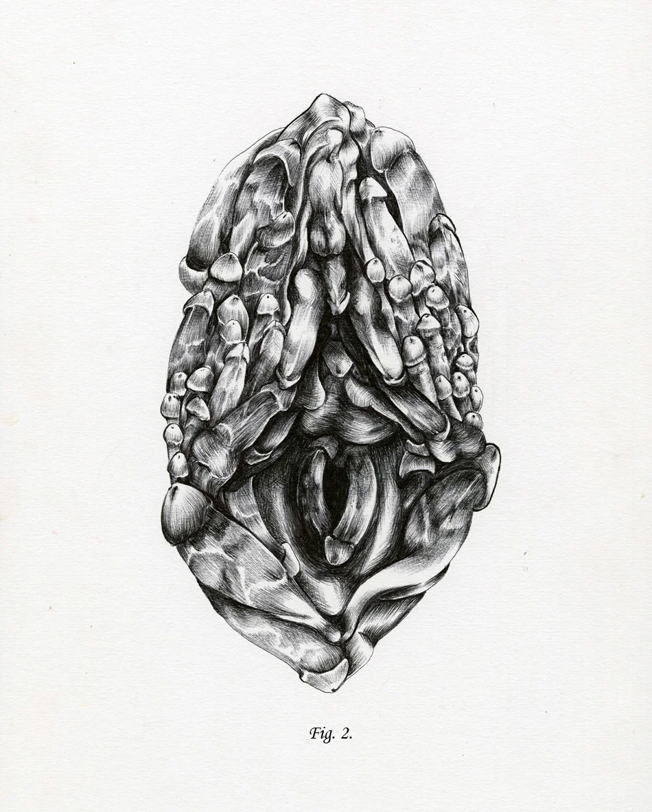 Fig. 2., 2015 9"x14" ballpoint pen on illustration board