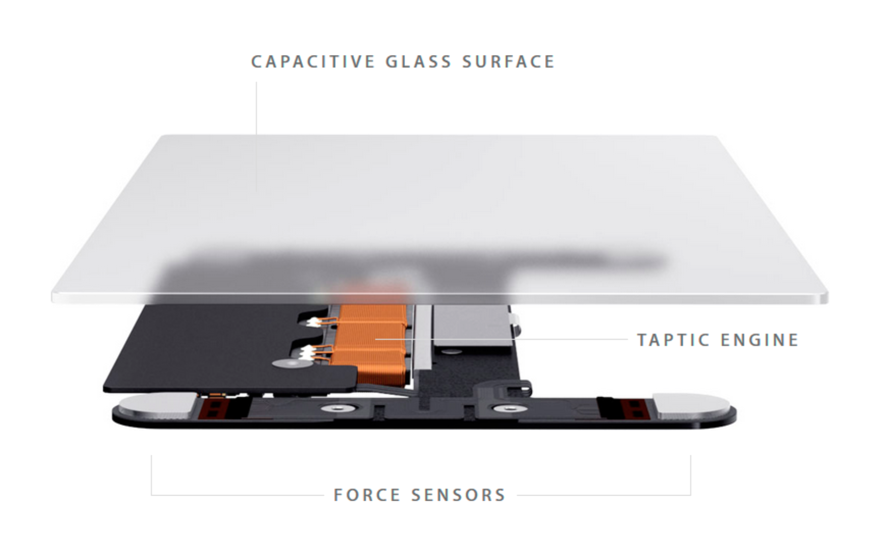 4.3. The new Force Touch trackpad with the Taptic Engine by Apple .