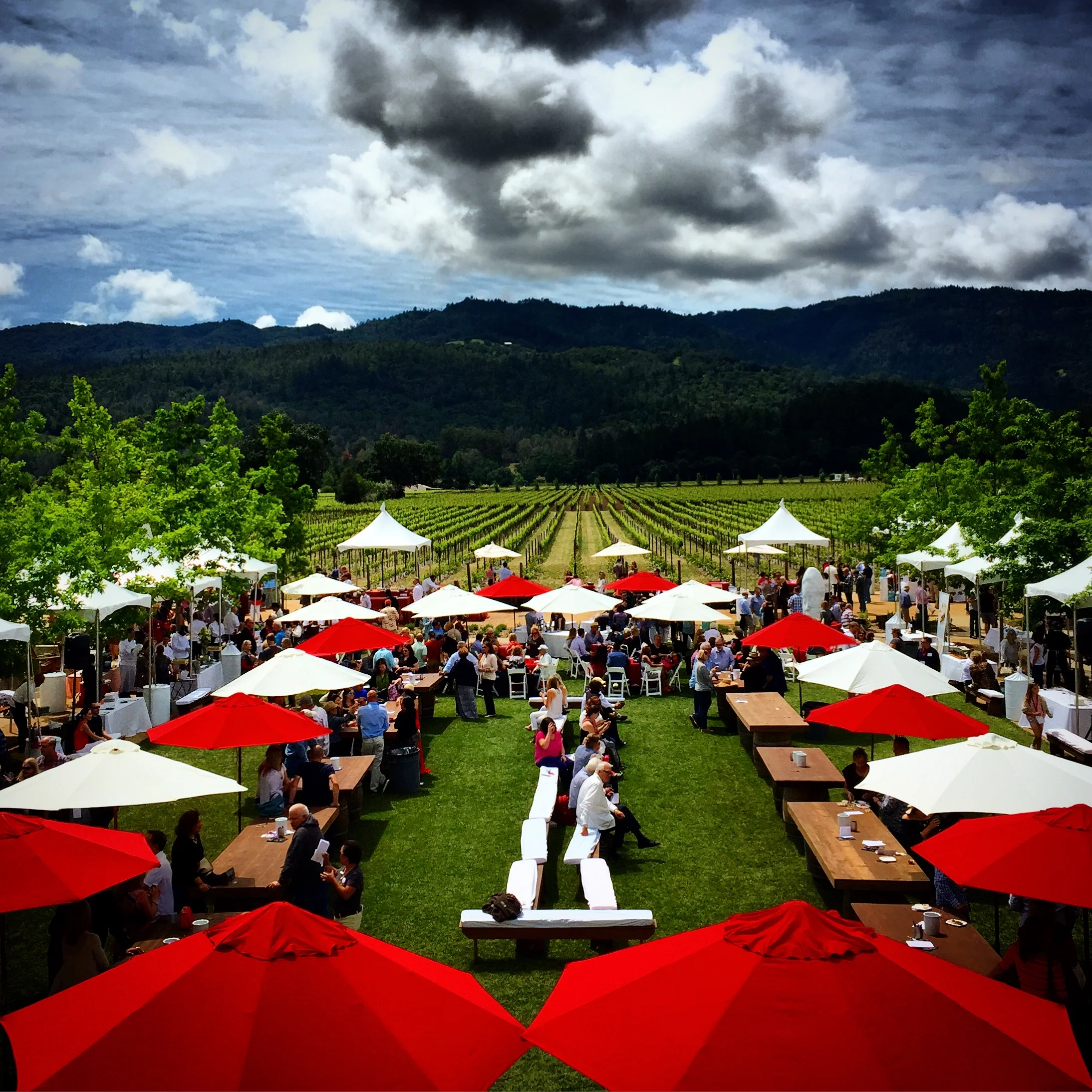 Several hundred people participated in the annual Hall Winery Cab Cookoff in Napa. Such a fun event under sunny skies.