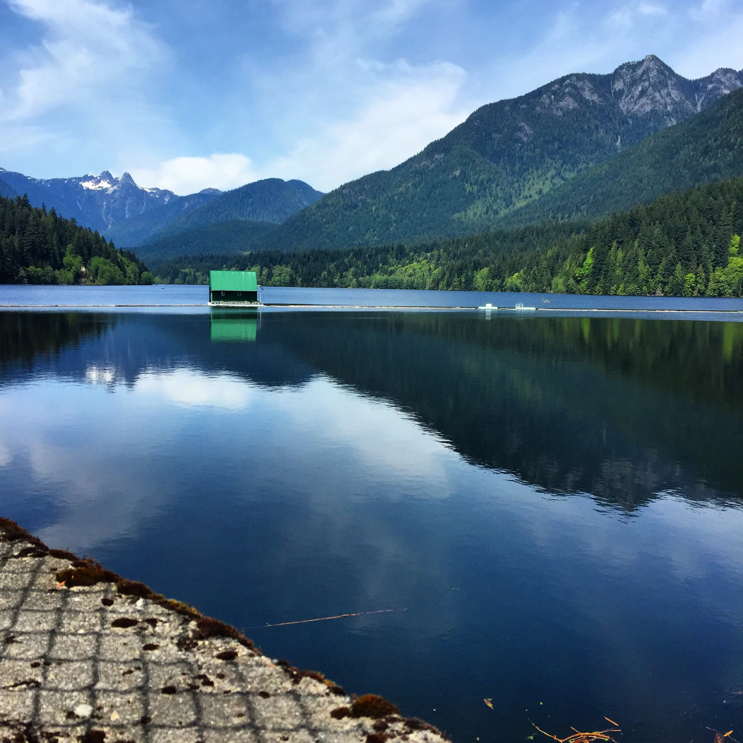 Here's the Capilano reservoir, which you get to walk past on your way to the hiking trails. Isn't it spectacular? It houses most of Vancouver's delicious drinking water, known throughout the world as some of the best tasting aqua! Photo: The Vancouverite