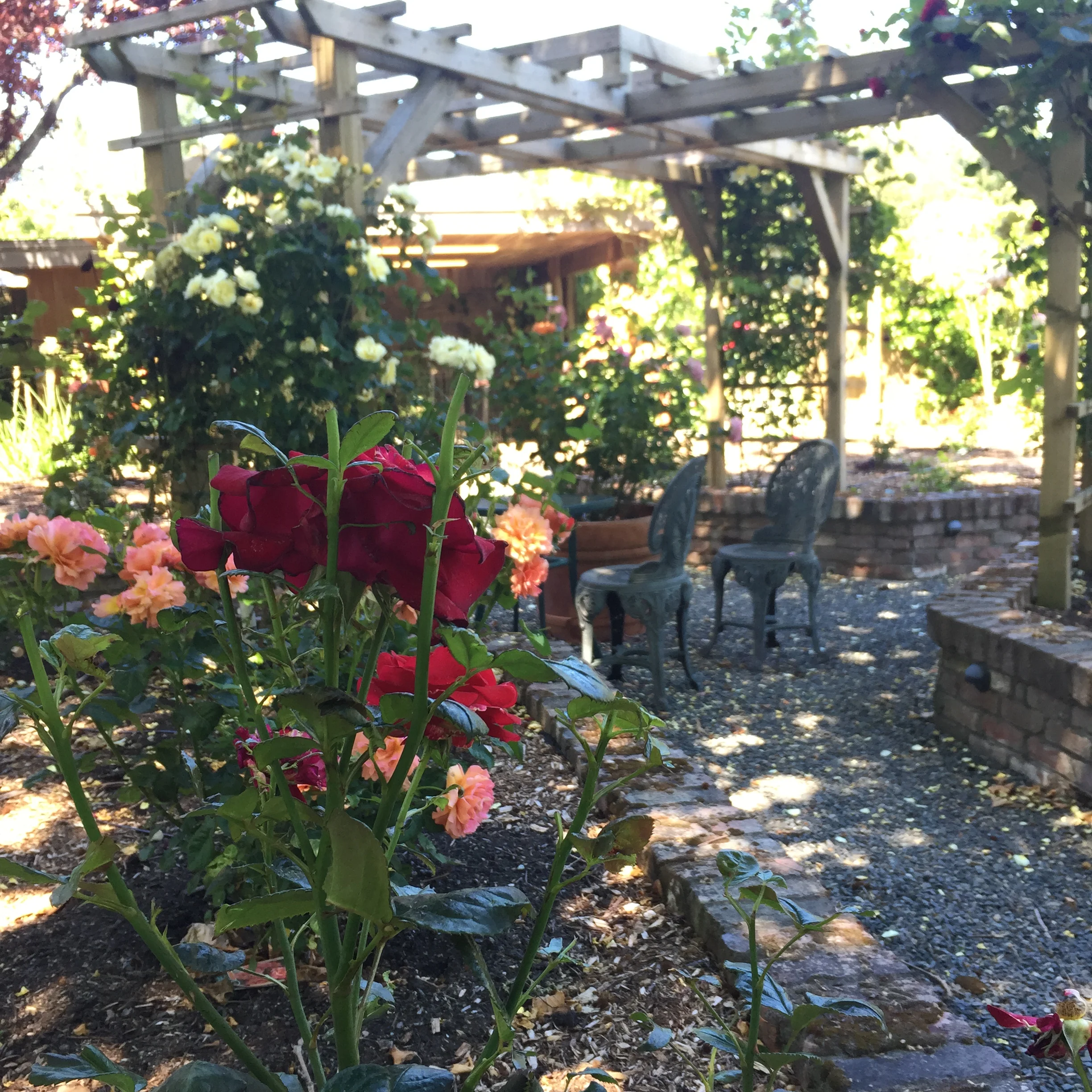 The grounds of Galiano Inn and Spa are so beautiful. Photo: The Vancouverite