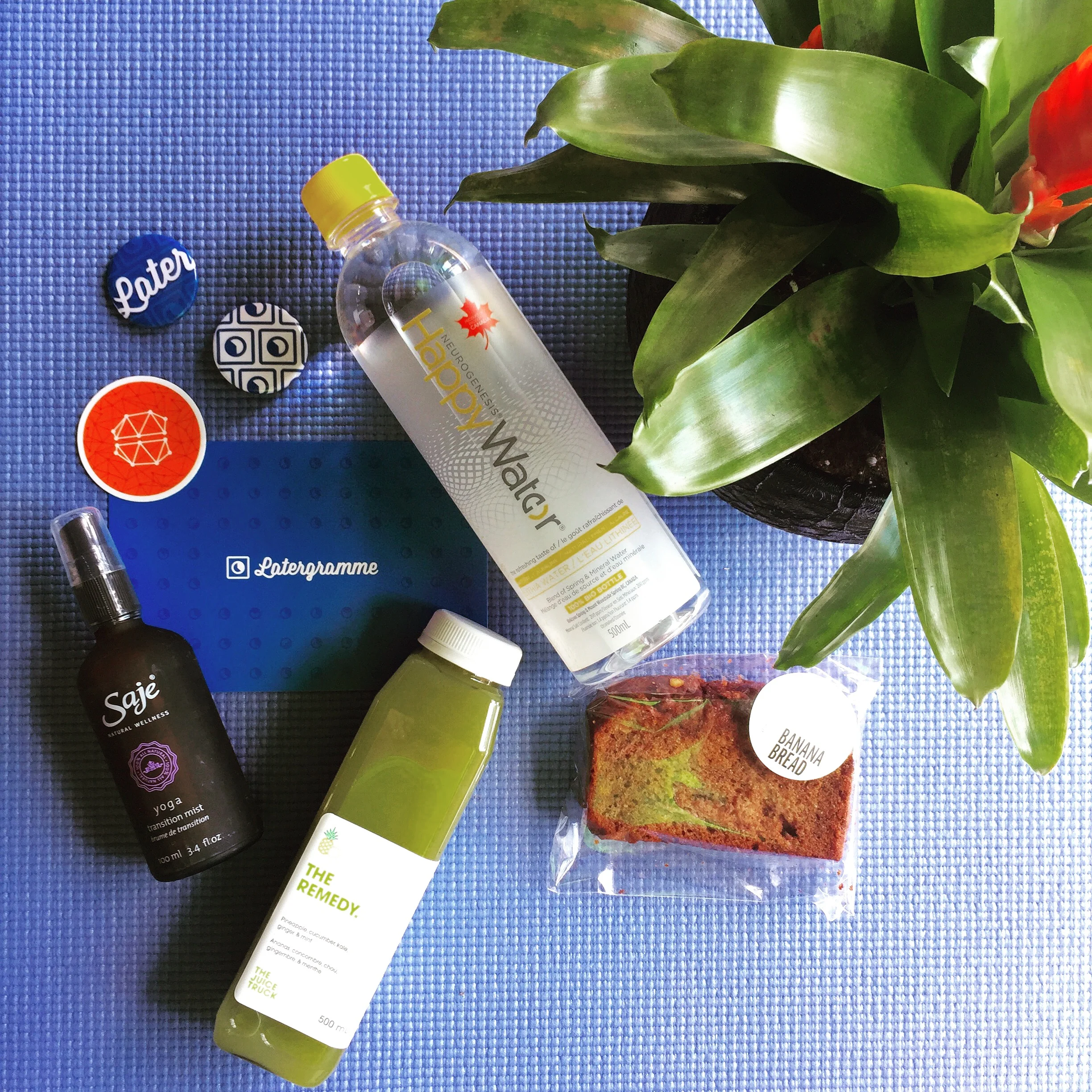 Following the yoga and photography workshop, we were treated to treats and swag from Saje, The Juice Truck, To Die For Fine Foods, Happy Water and Qoola.