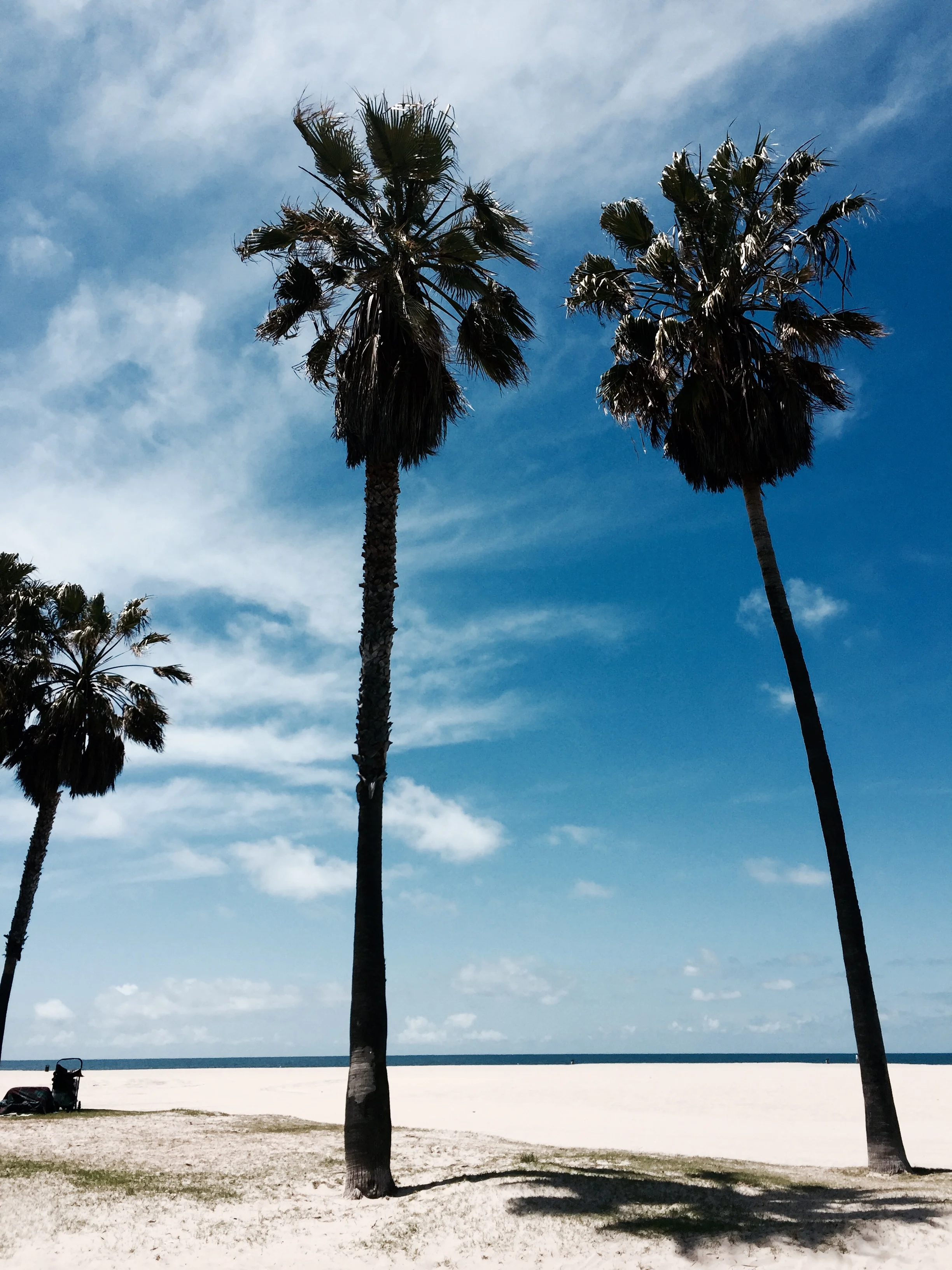 It's not LA without palm trees.