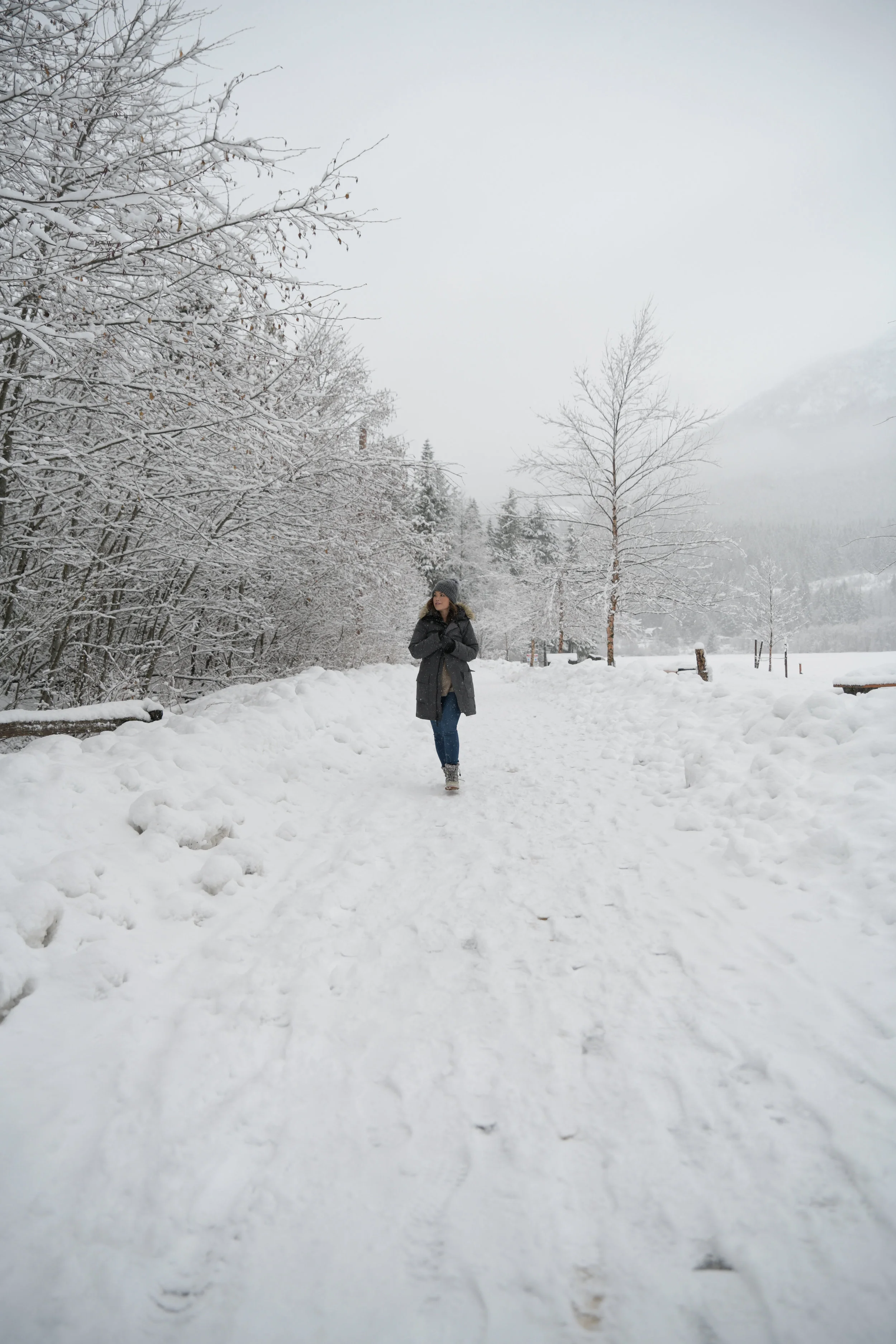 Whistler Jan 2018 (6 of 6).jpg