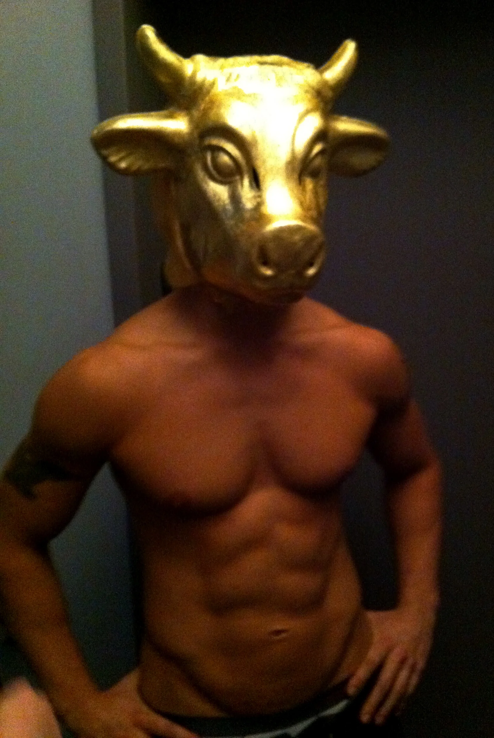 Golden Calf Stripper.jpg