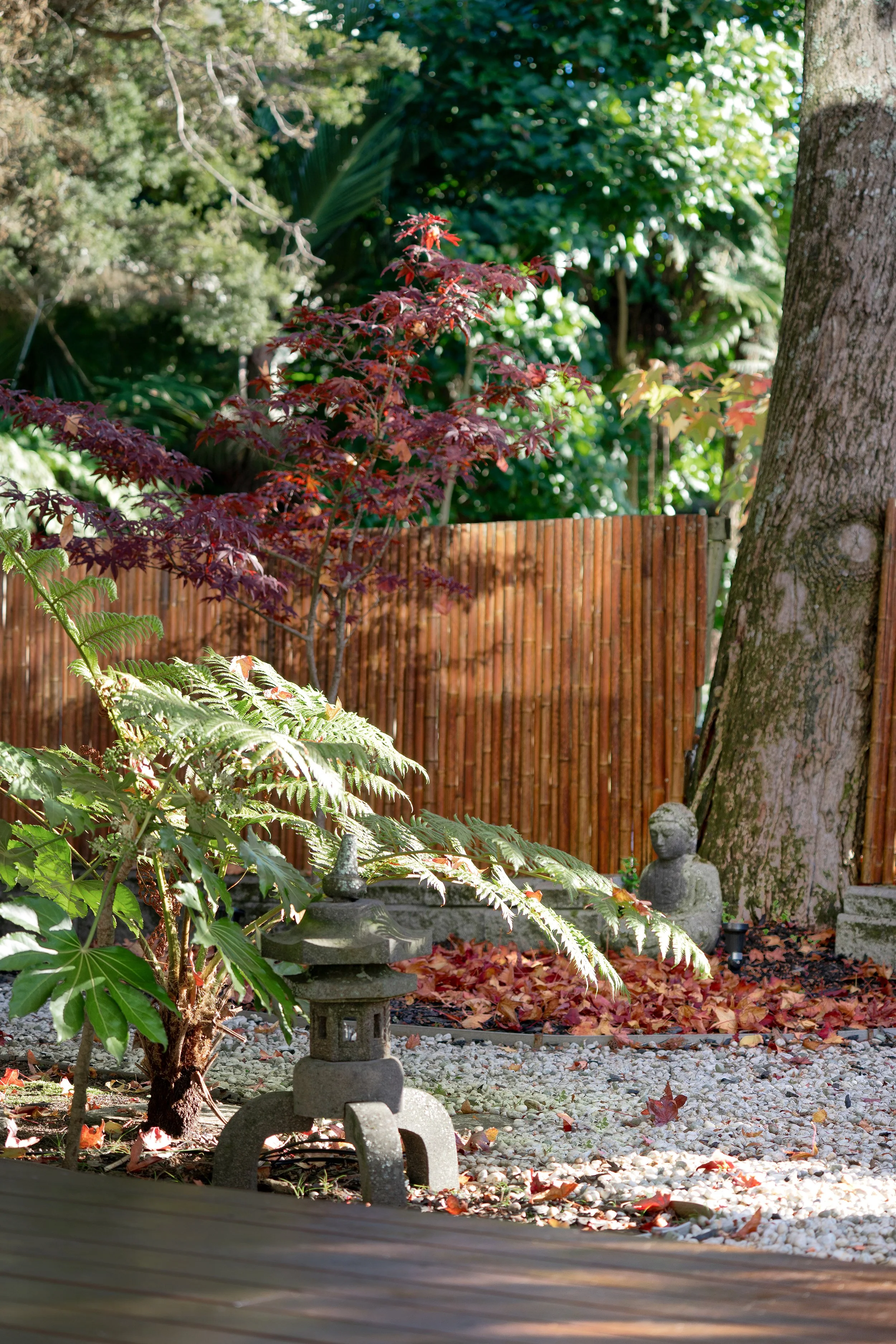 garden (4).jpg