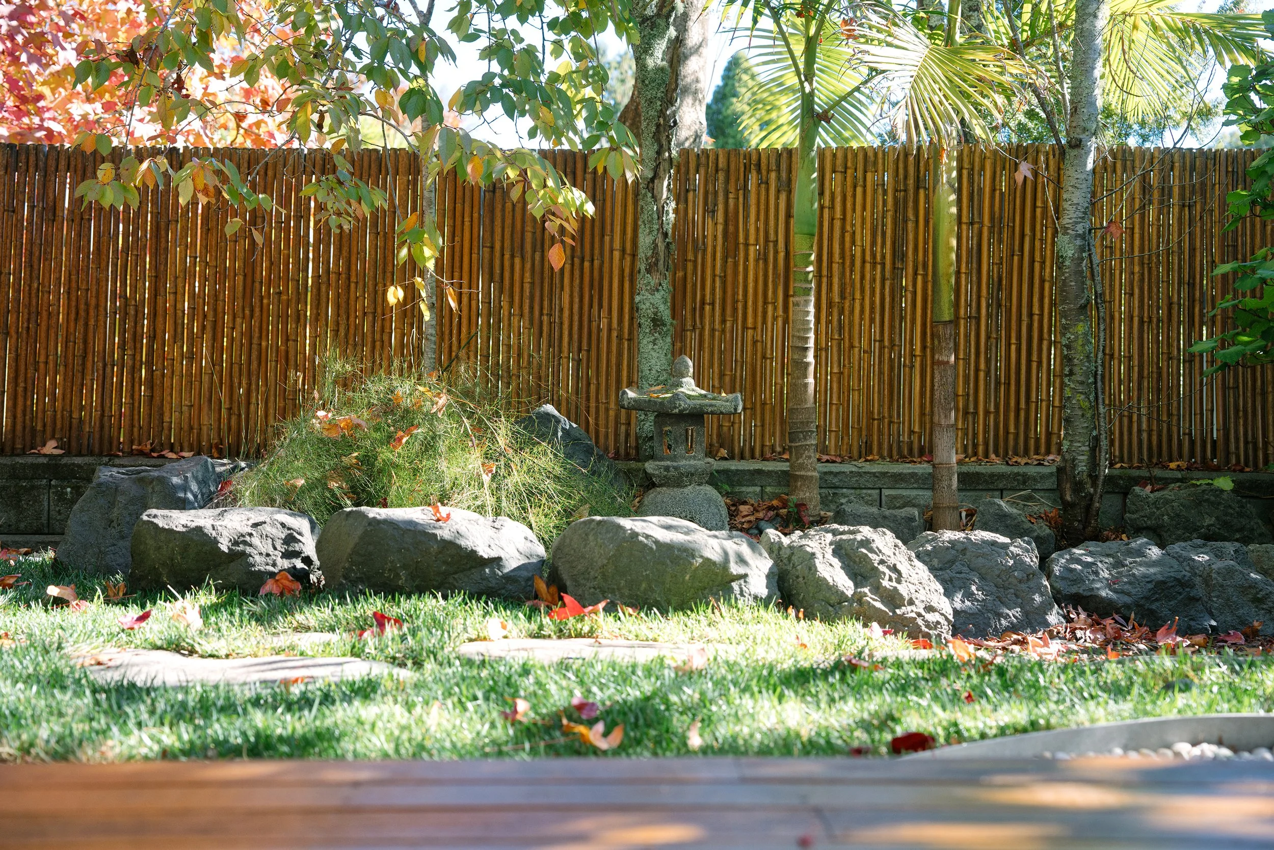 garden (1).jpg