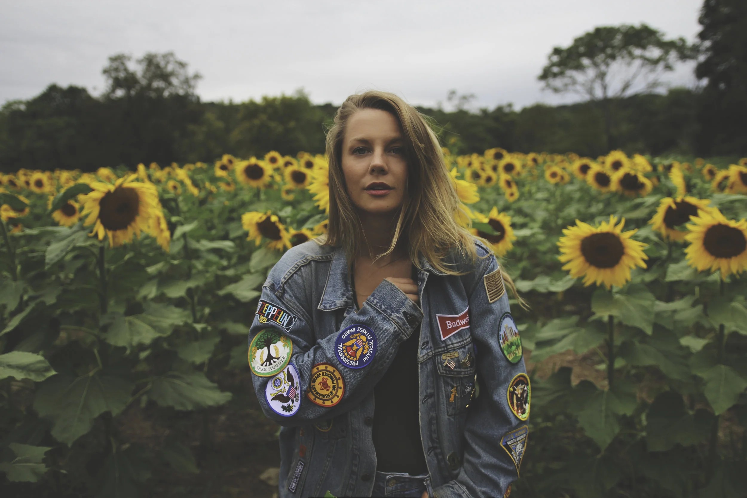 BRAND Sunflower 002.jpg
