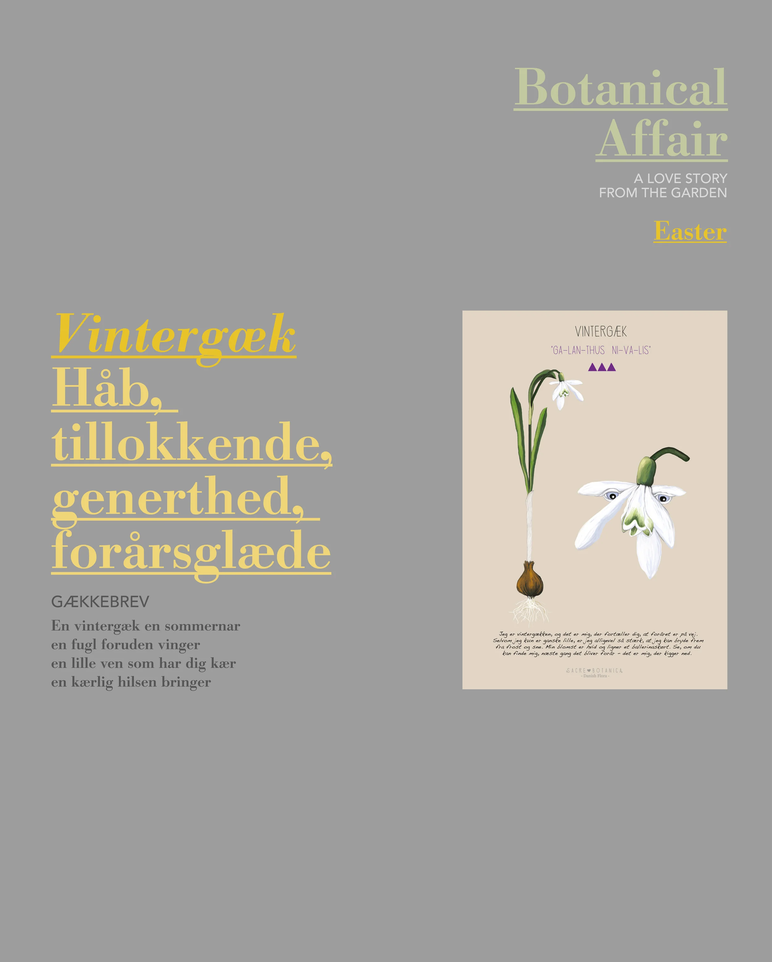 Fly•Helsted banner_botanical garden.jpg