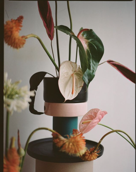 Flowers.png